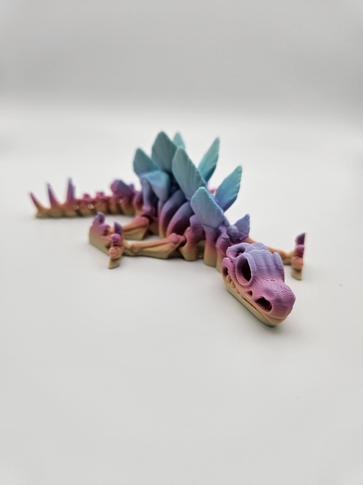 Skeleton Stegosaurus