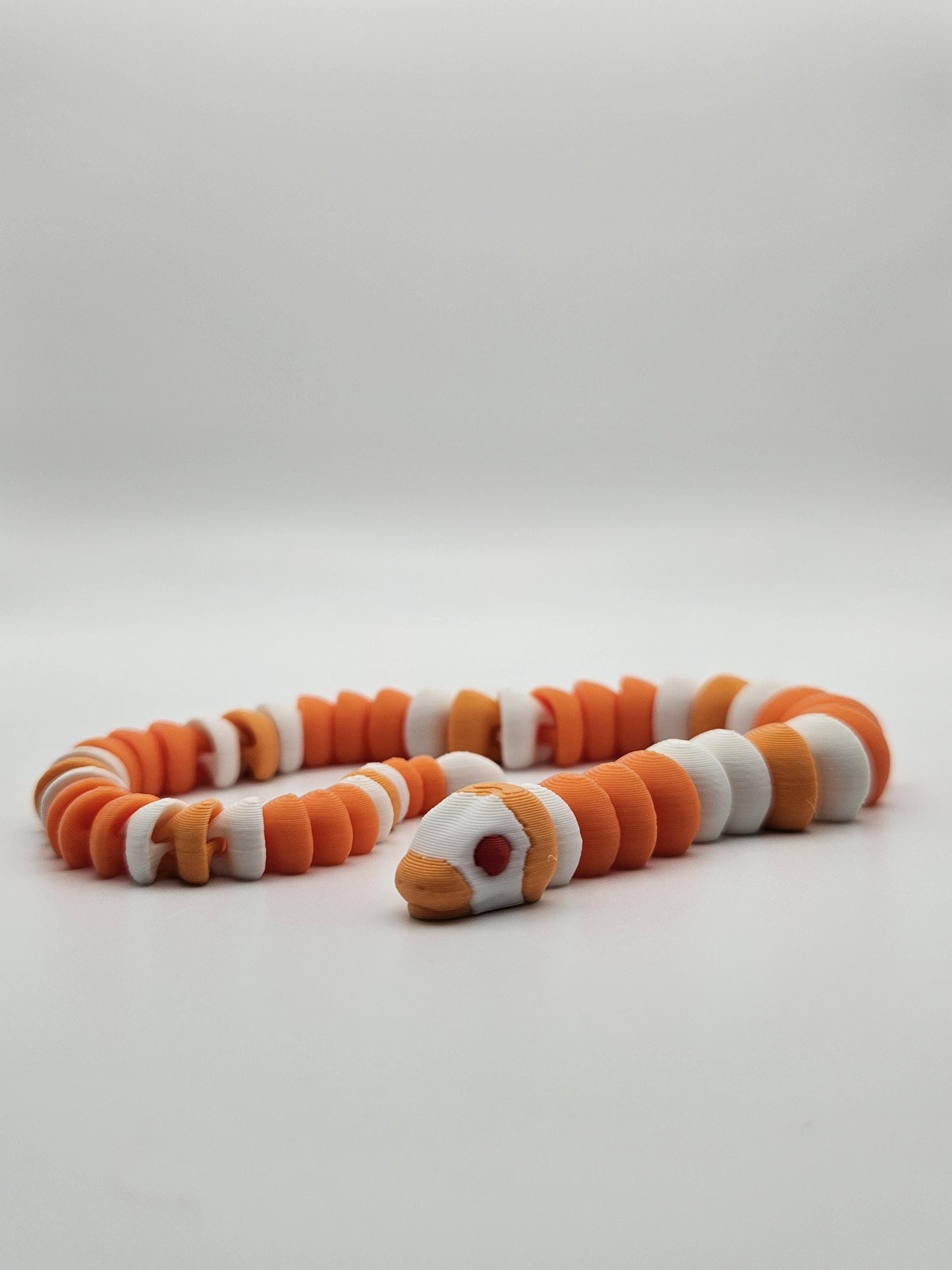 Albino Milk Snake