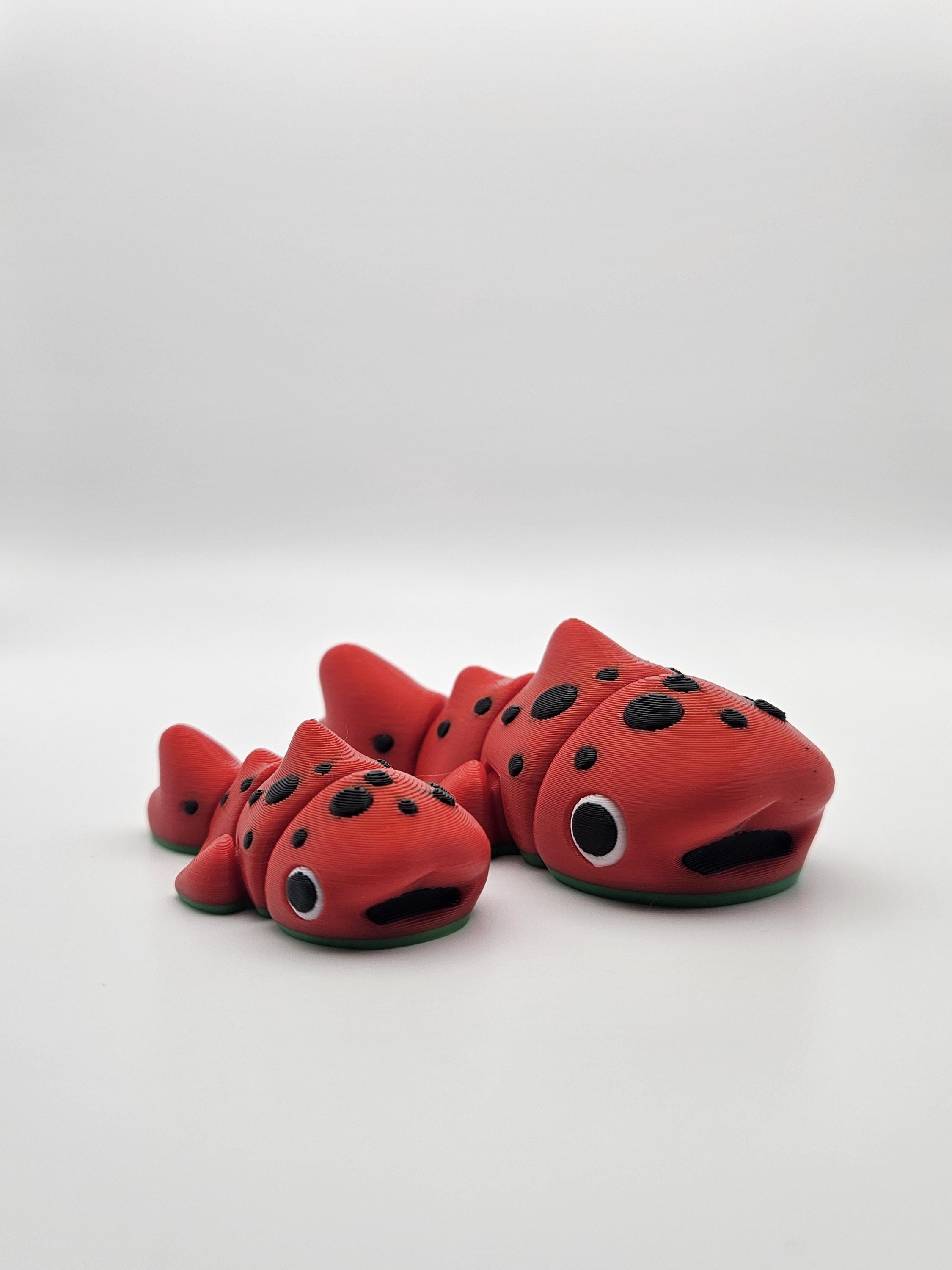 Watermelon Whale Shark