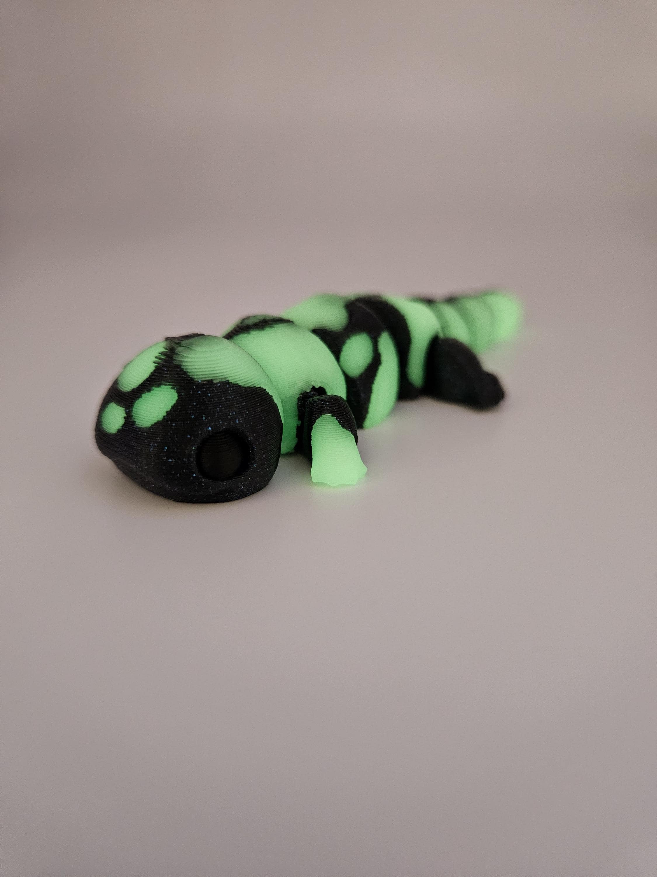 Glow Salamander