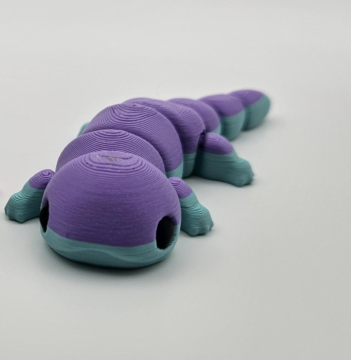 Salamander
