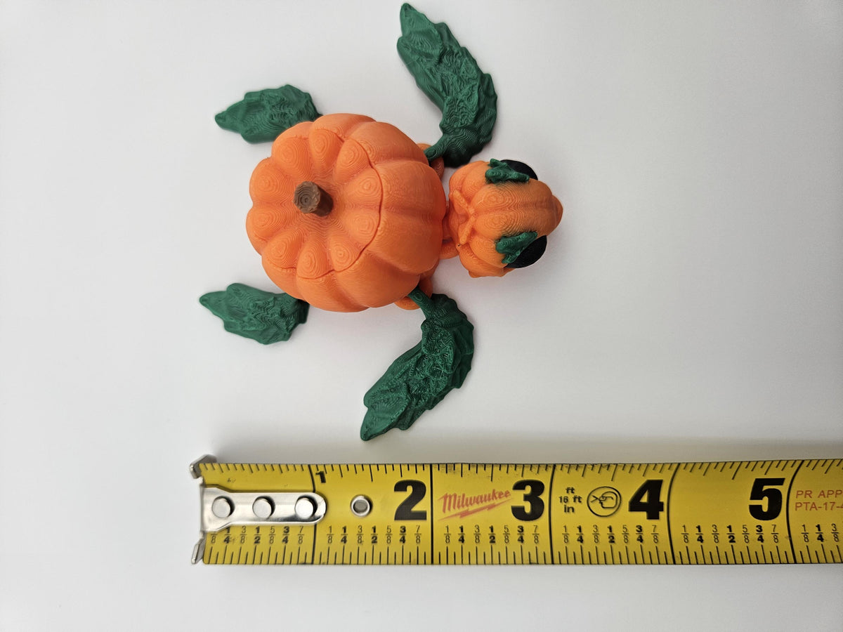 Pumpkin Turtle