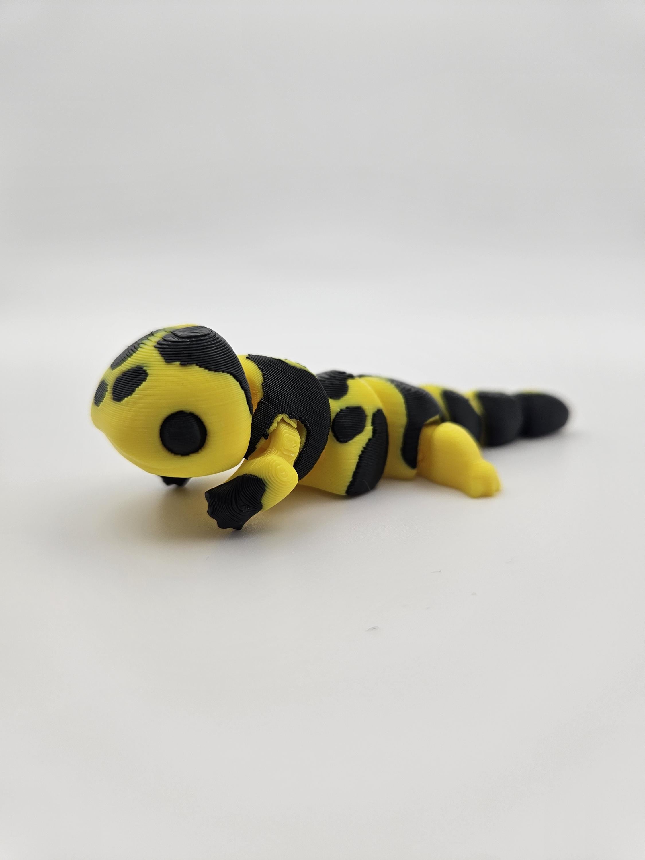 Tiger Salamander