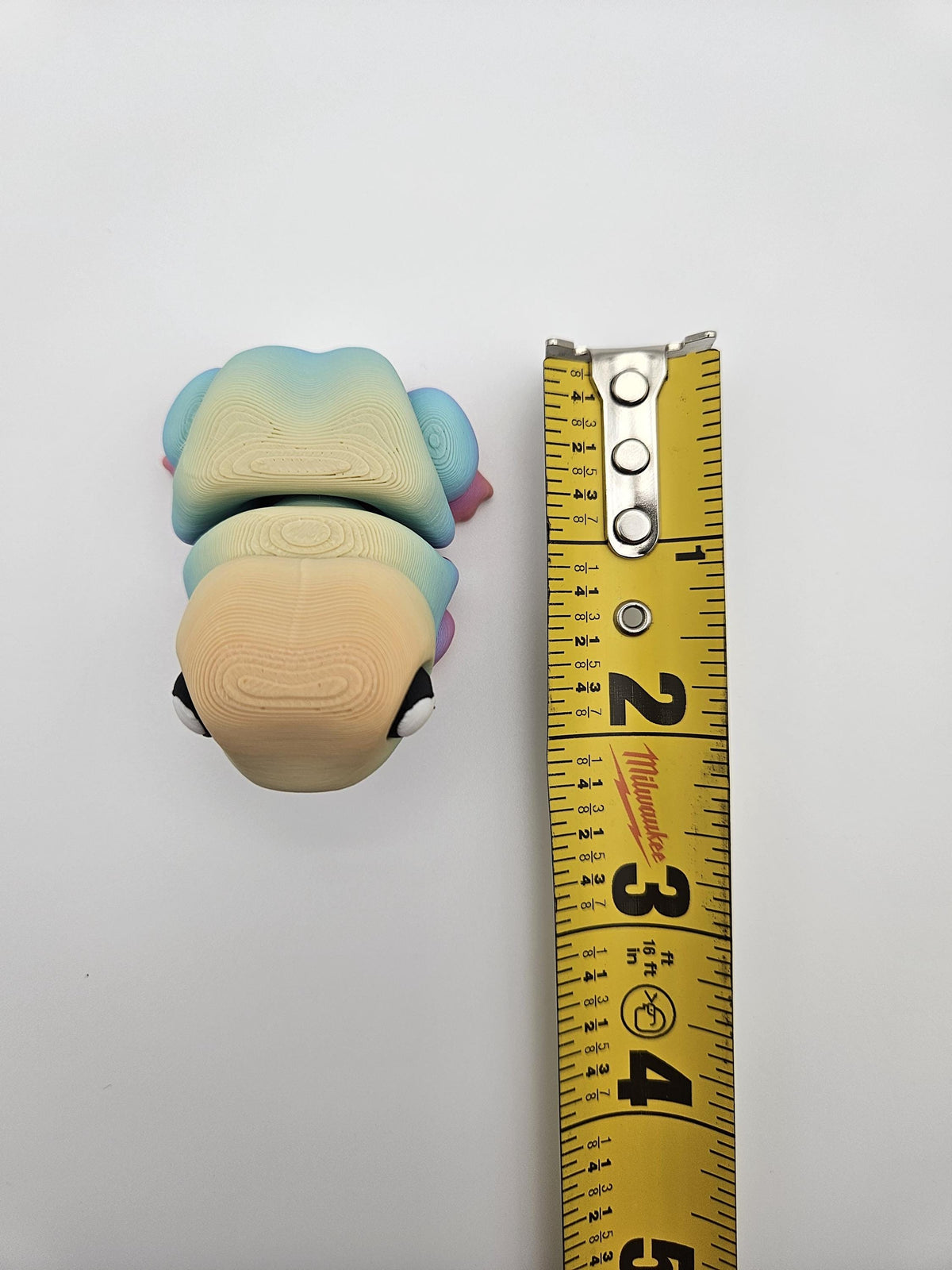 Rainbow Chonky Frog (Bull Frog)