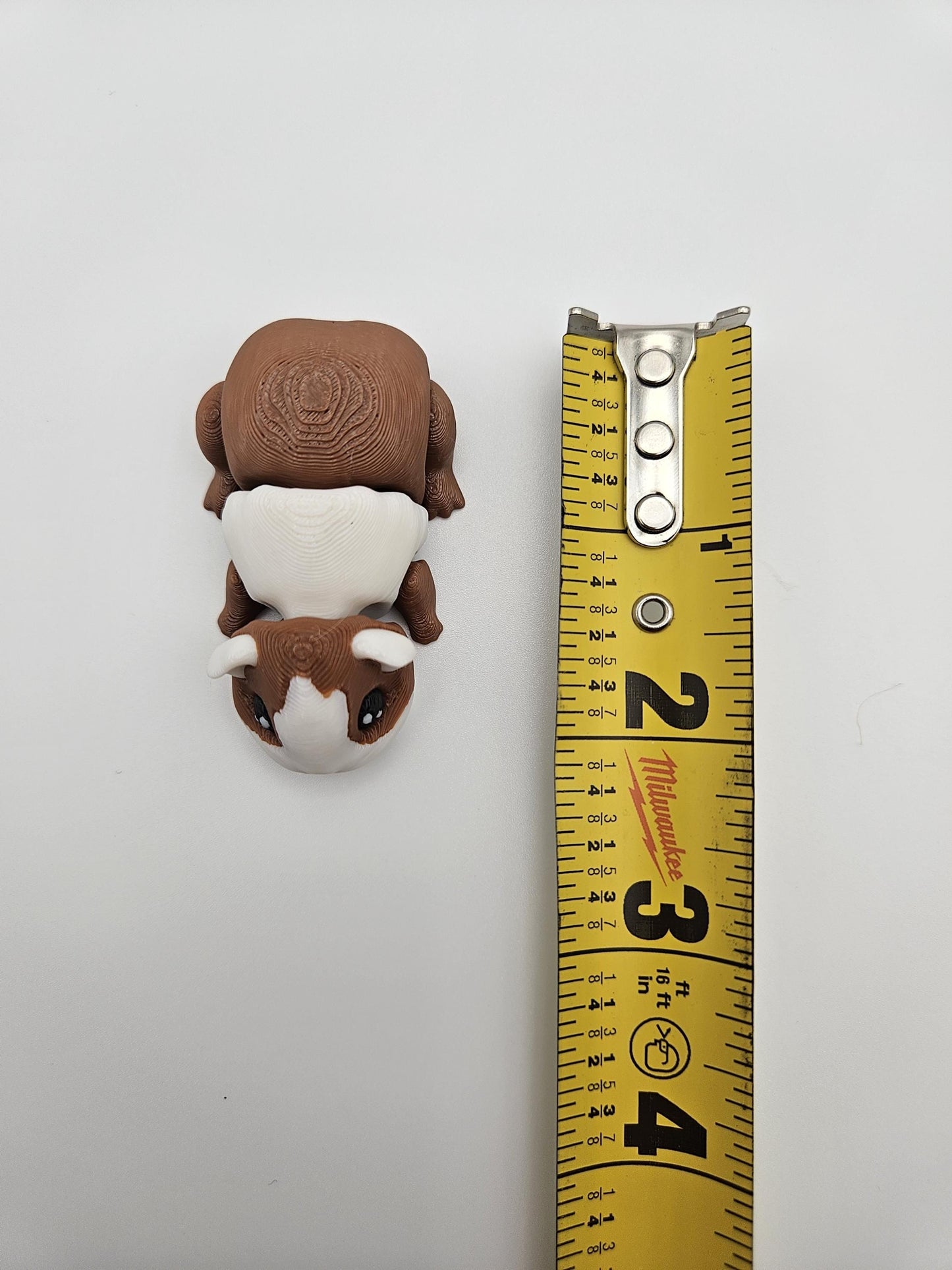 Guinea Pig (Hamster)