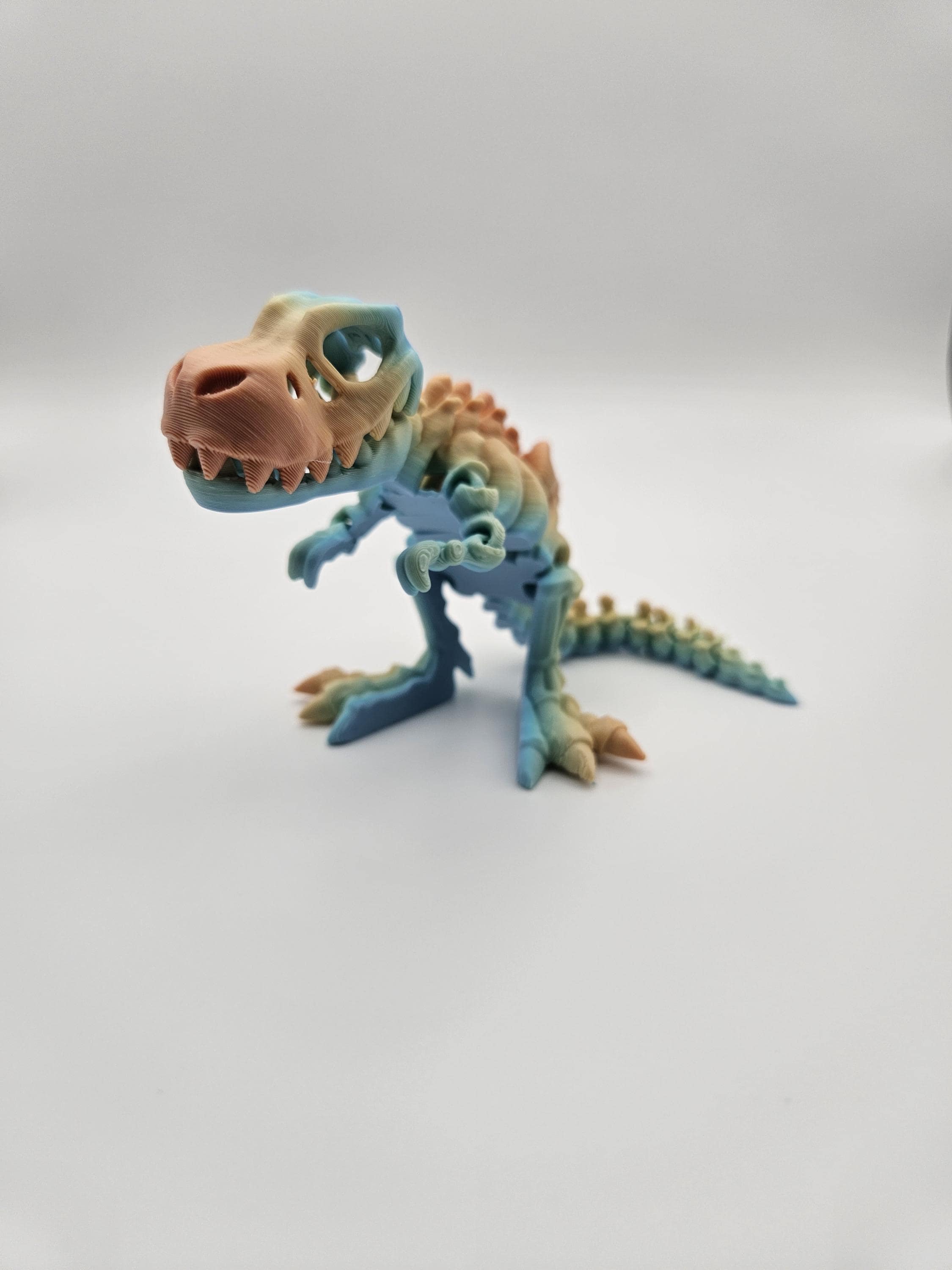 Rainbow Skeleton T-Rex Dinosaur