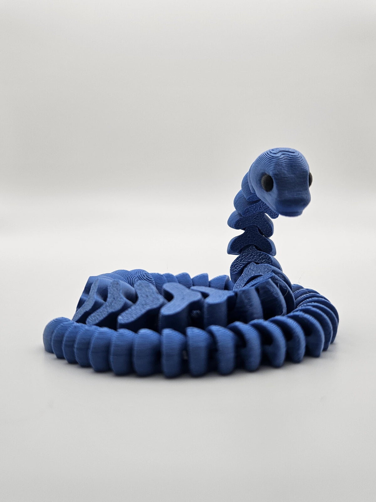 Colored Snakes