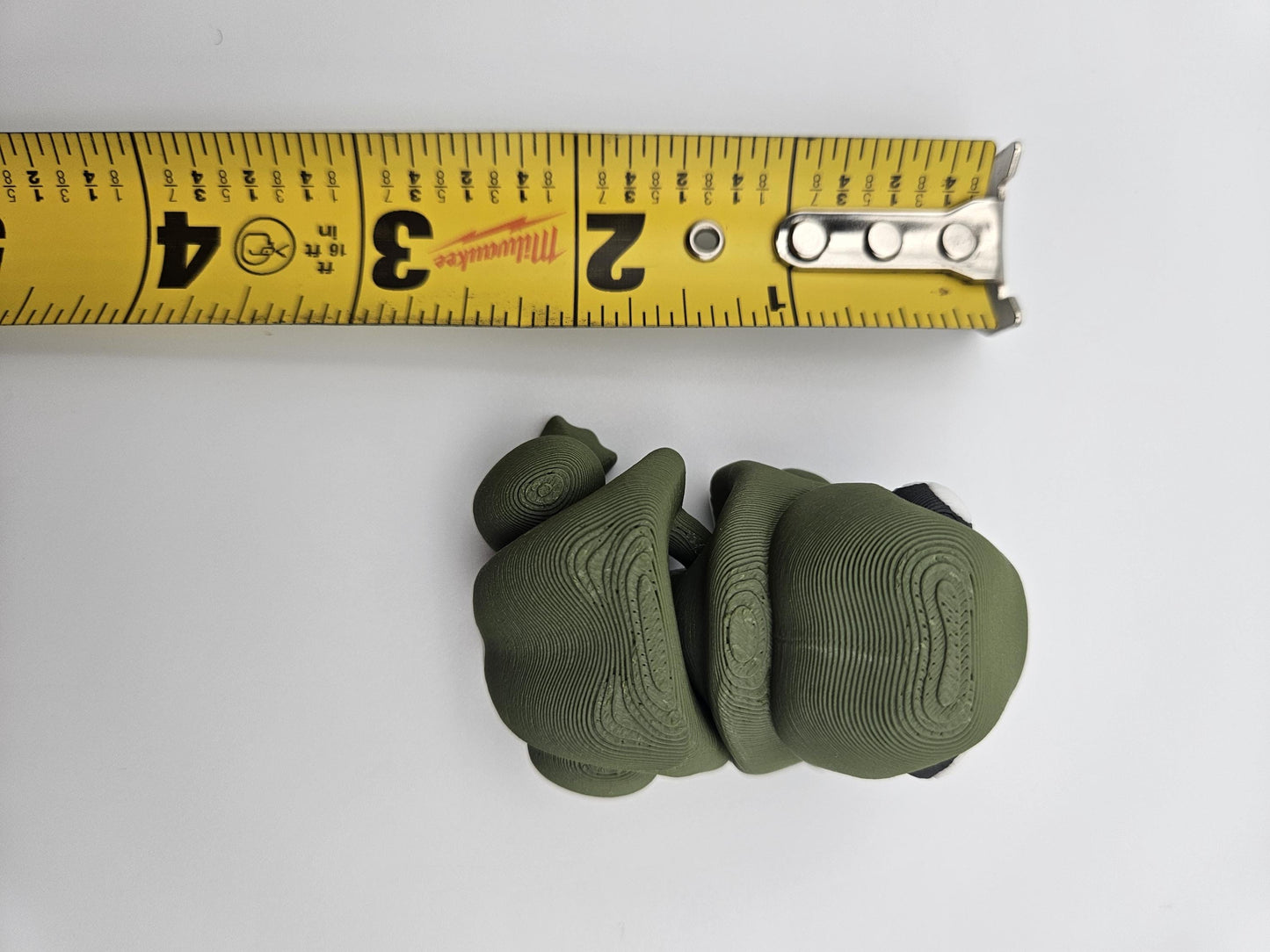 Chonky Frog (Bull Frog)