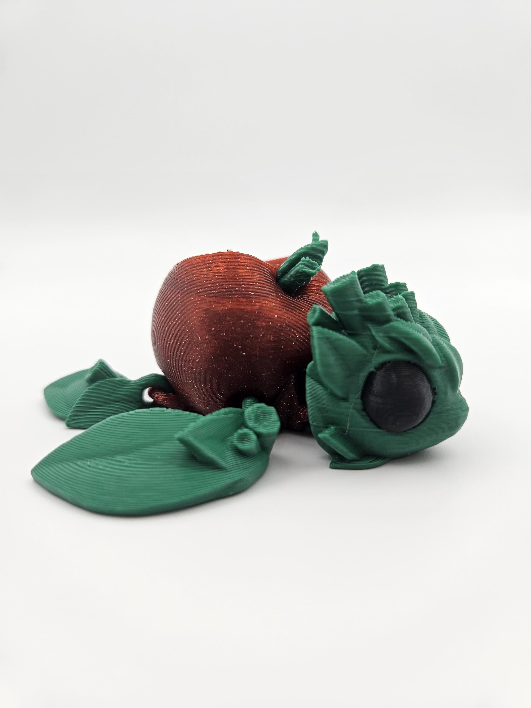 Apple Turtle