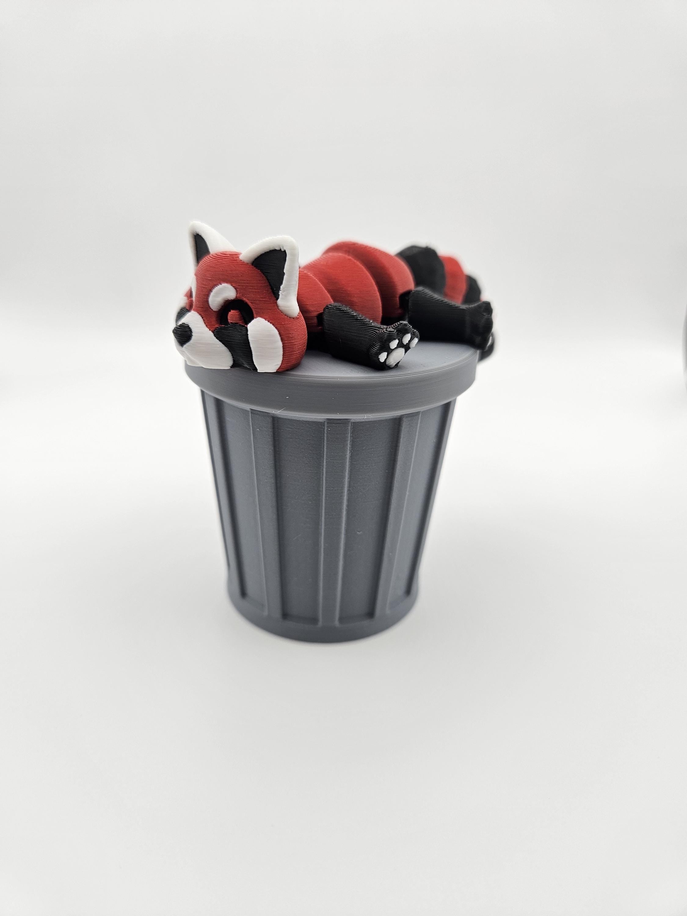 Trash Panda (Raccoon)