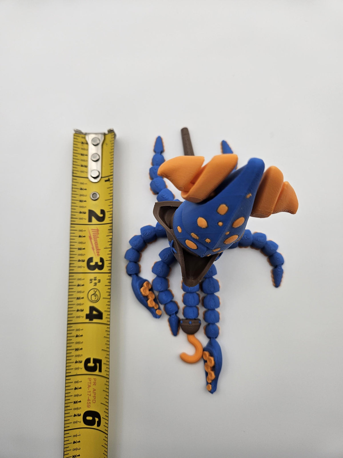 Pirate Squid