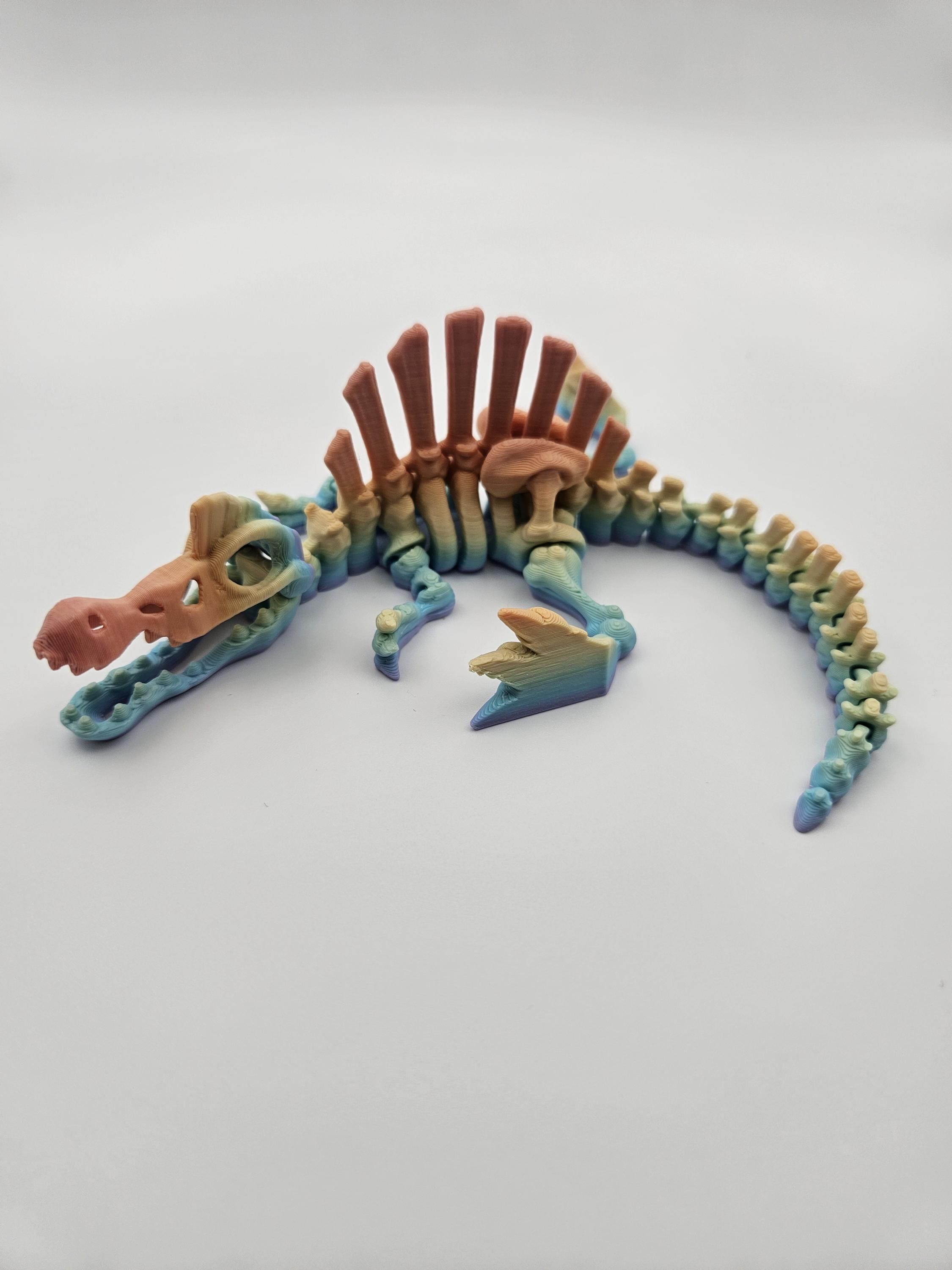 Rainbow Skeleton Spinosaurus