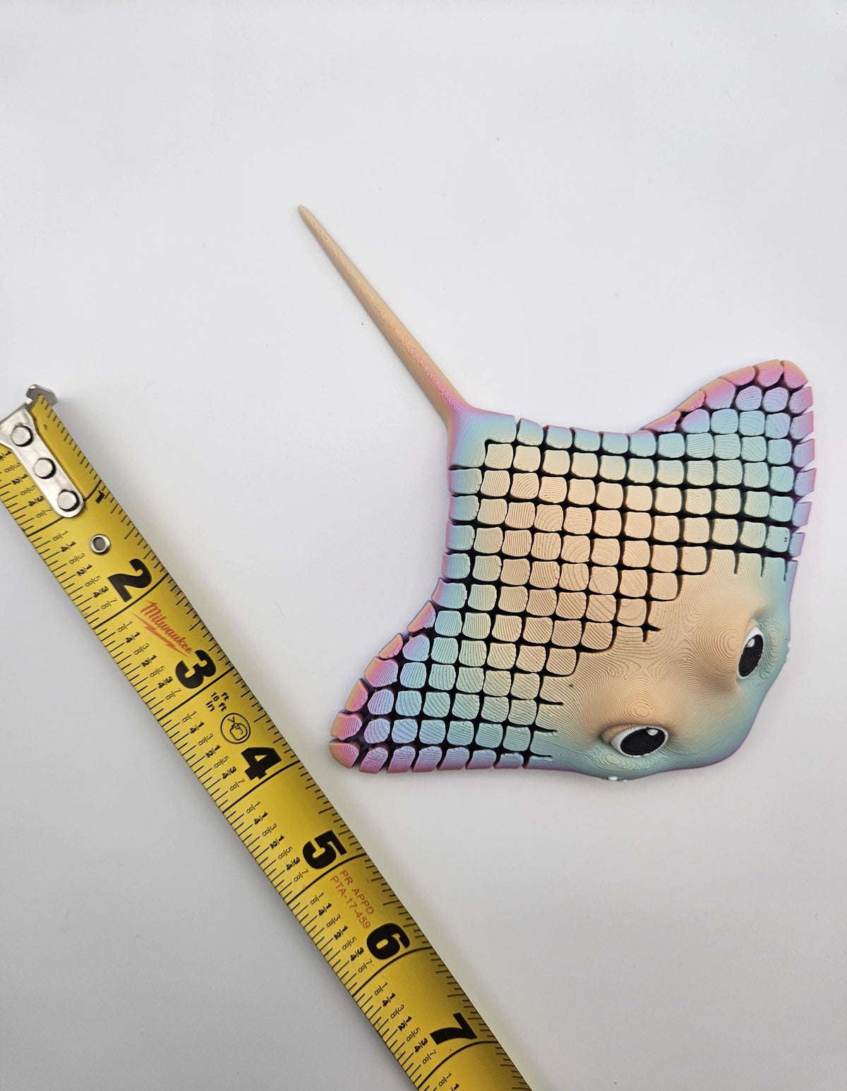 Rainbow Stingray