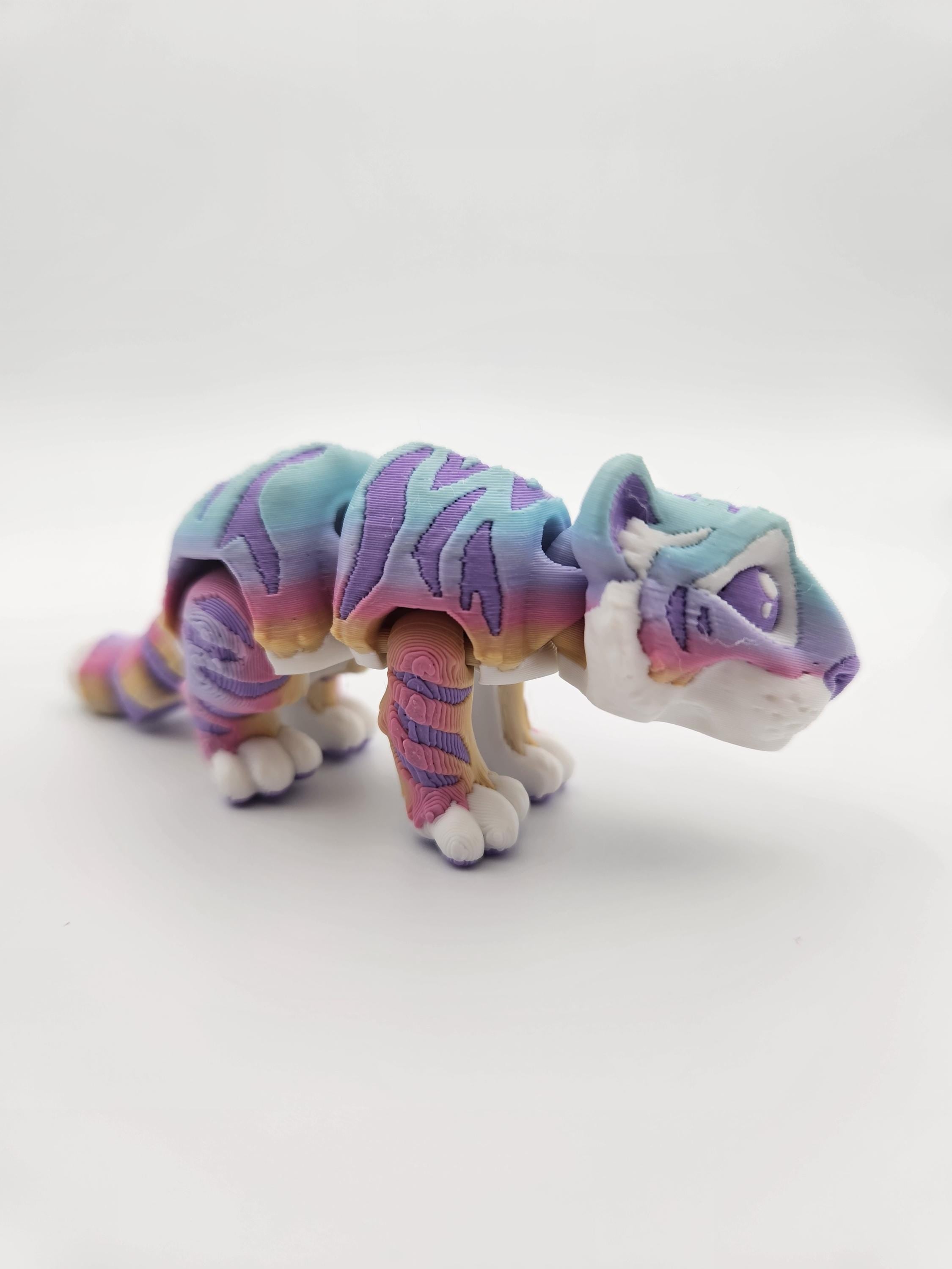 Rainbow Tiger