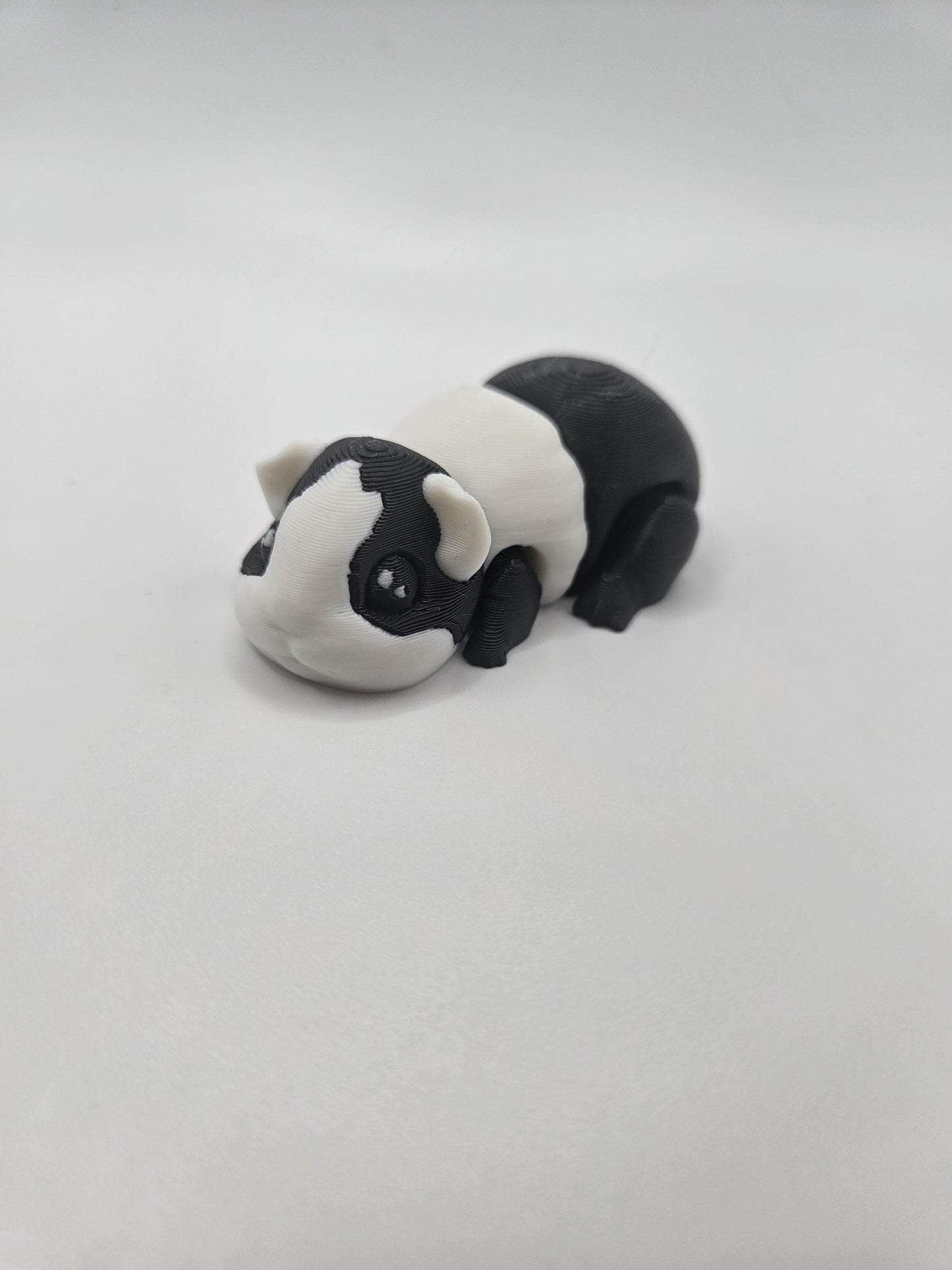 Guinea Pig (Hamster)