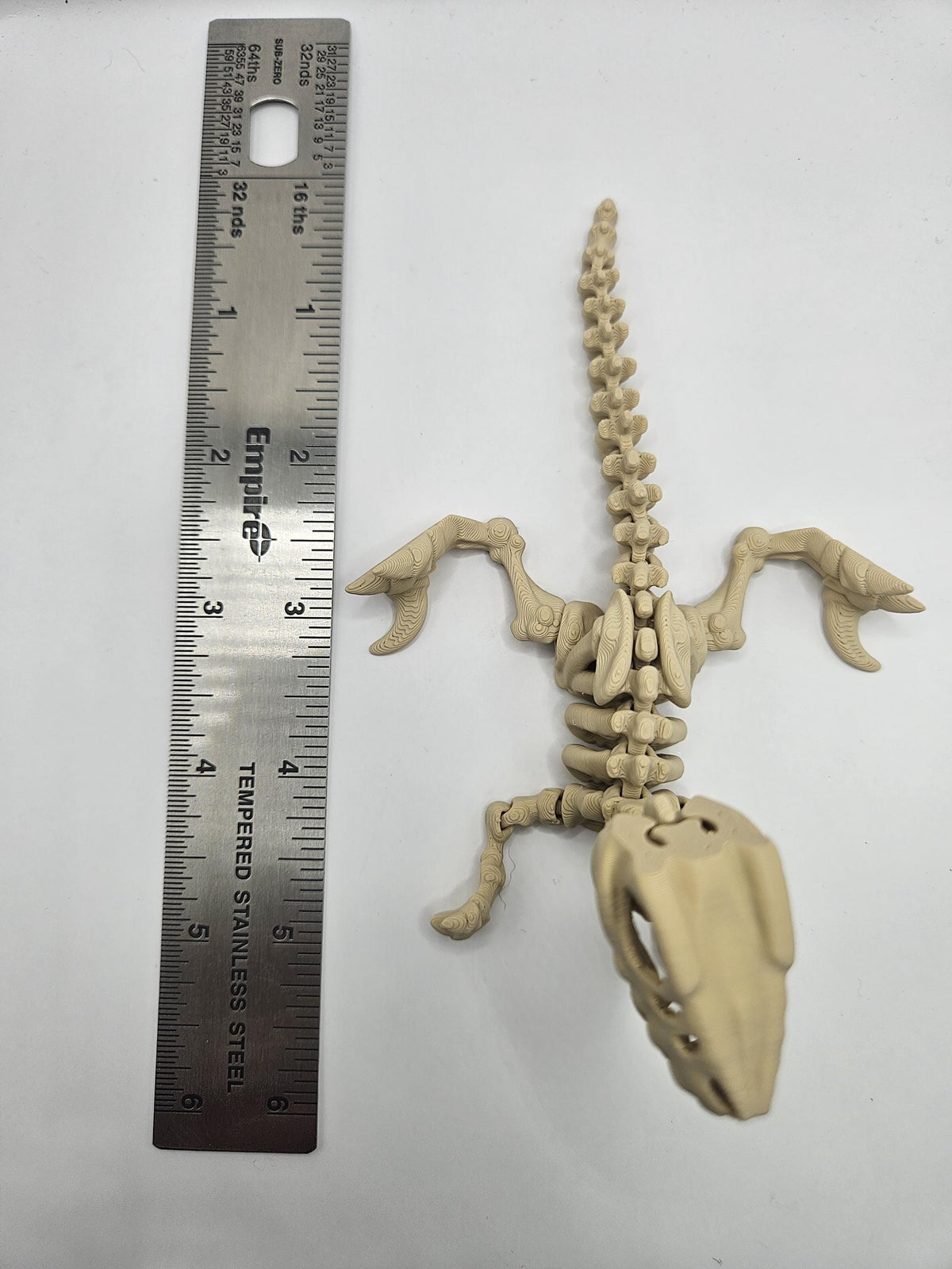 Skeleton Raptor