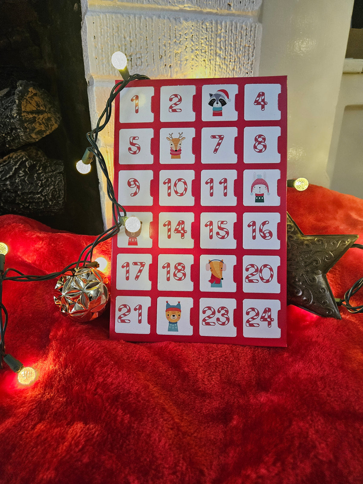 3D Printed Pocko Pet Advent Calendar for Christmas