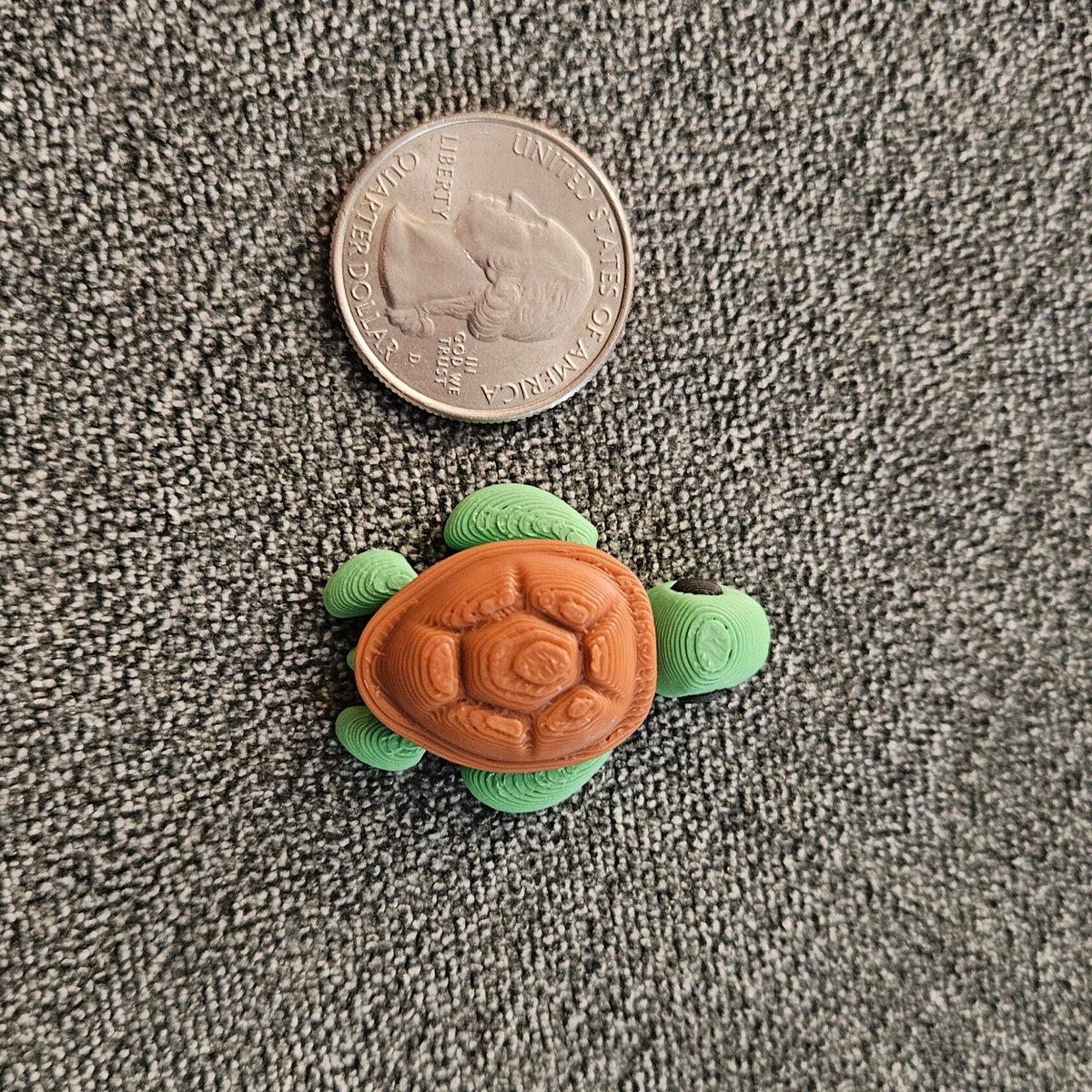 Strong and Durable Pocko Pets | 0.8-1.5 Inches