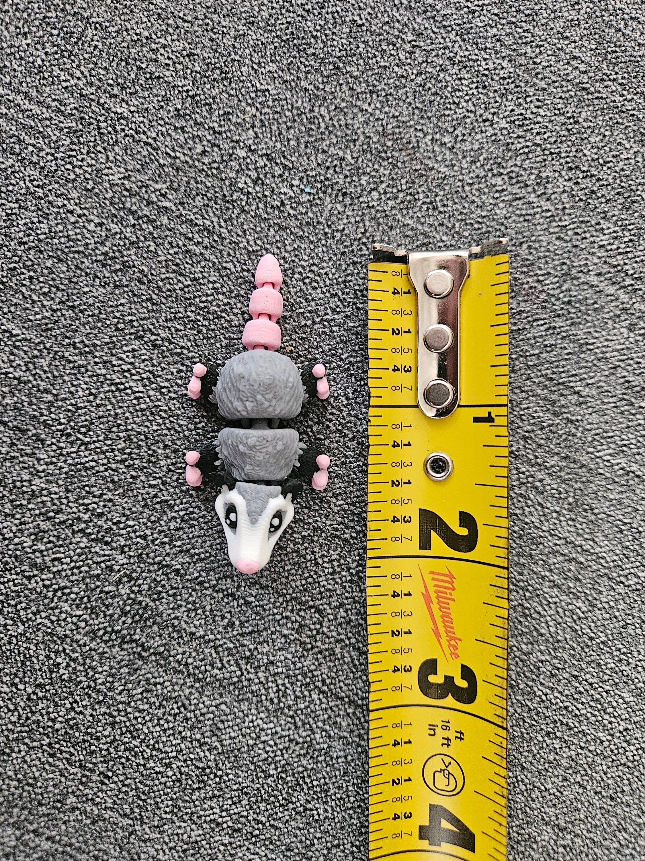 Random Detailed Pocko Pets | 1.25-2 Inches