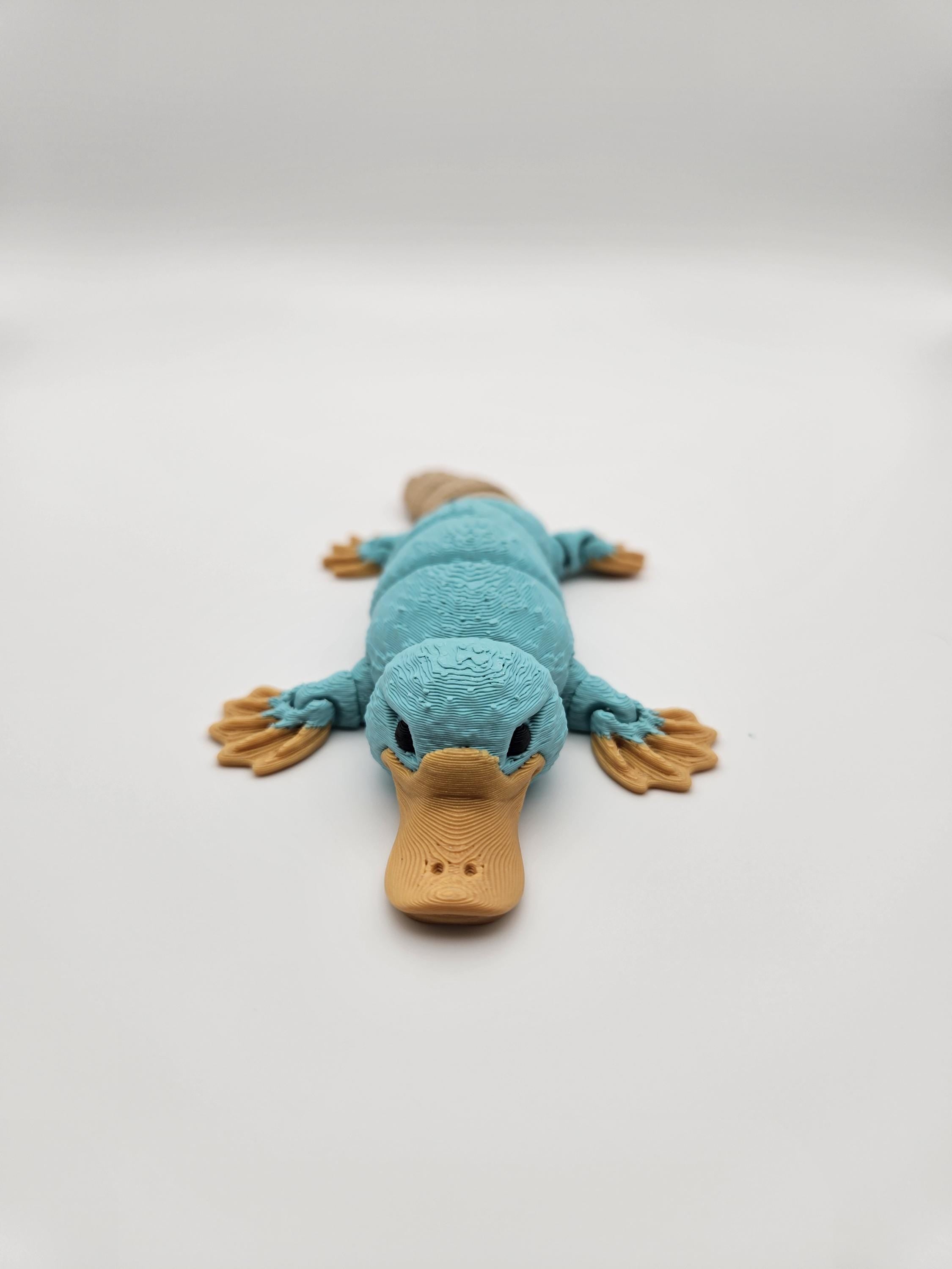 Platypus