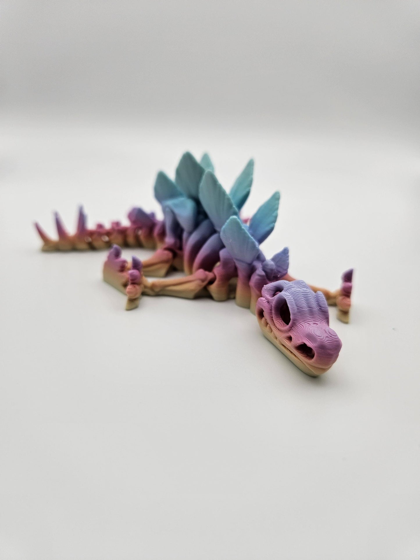 Skeleton Stegosaurus