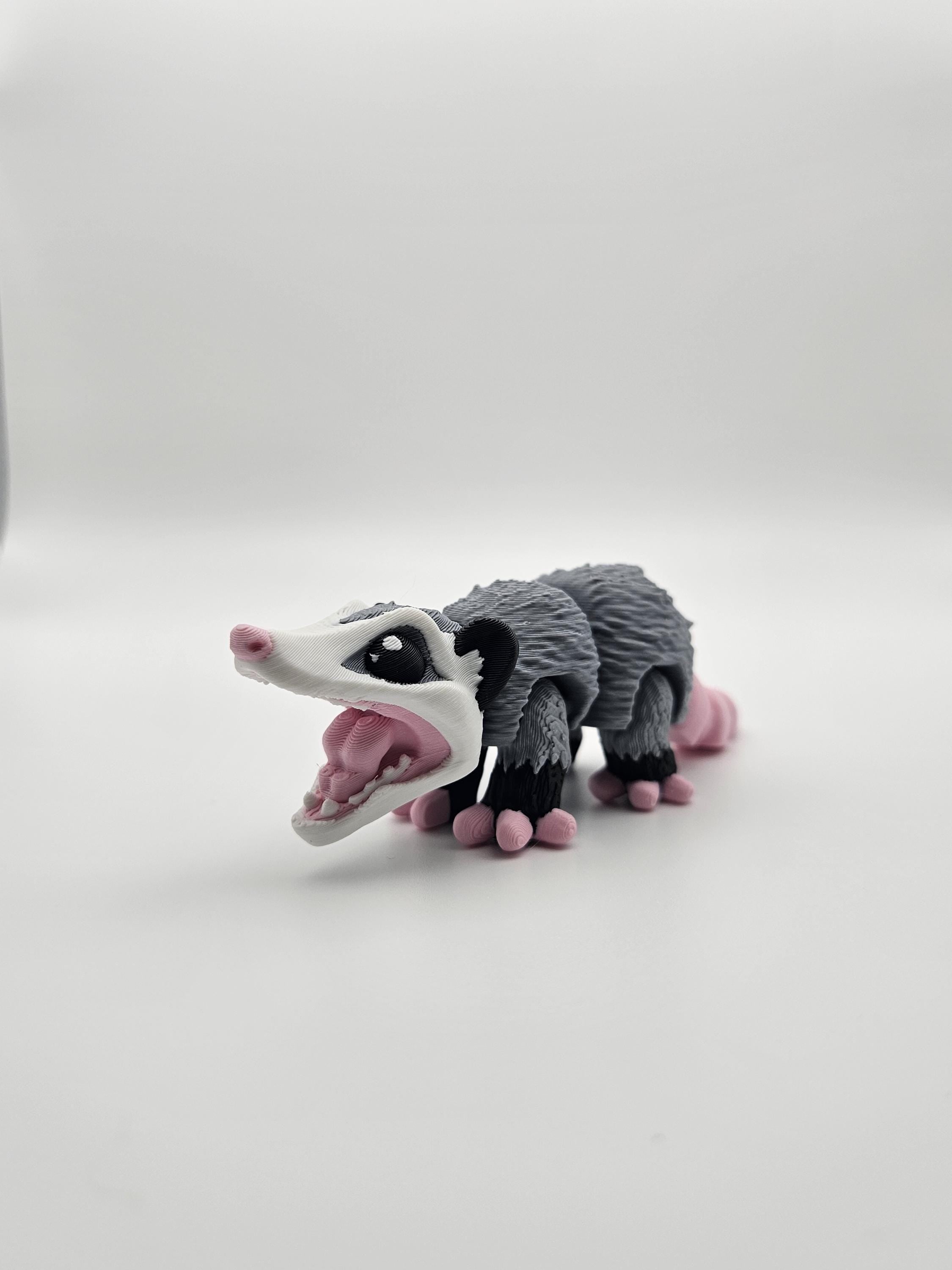 Opossum