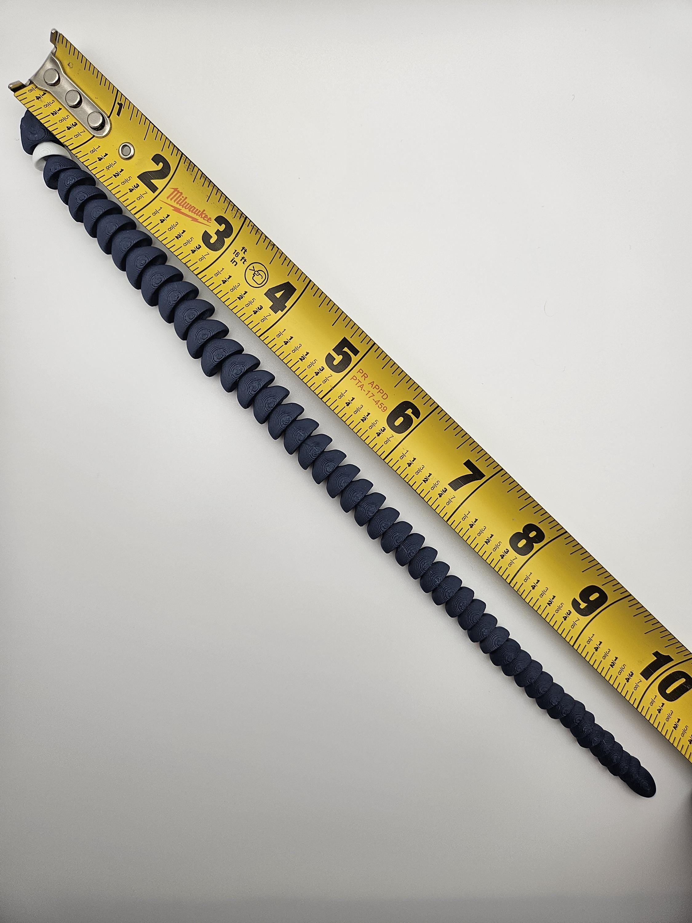 Ring Neck Snake