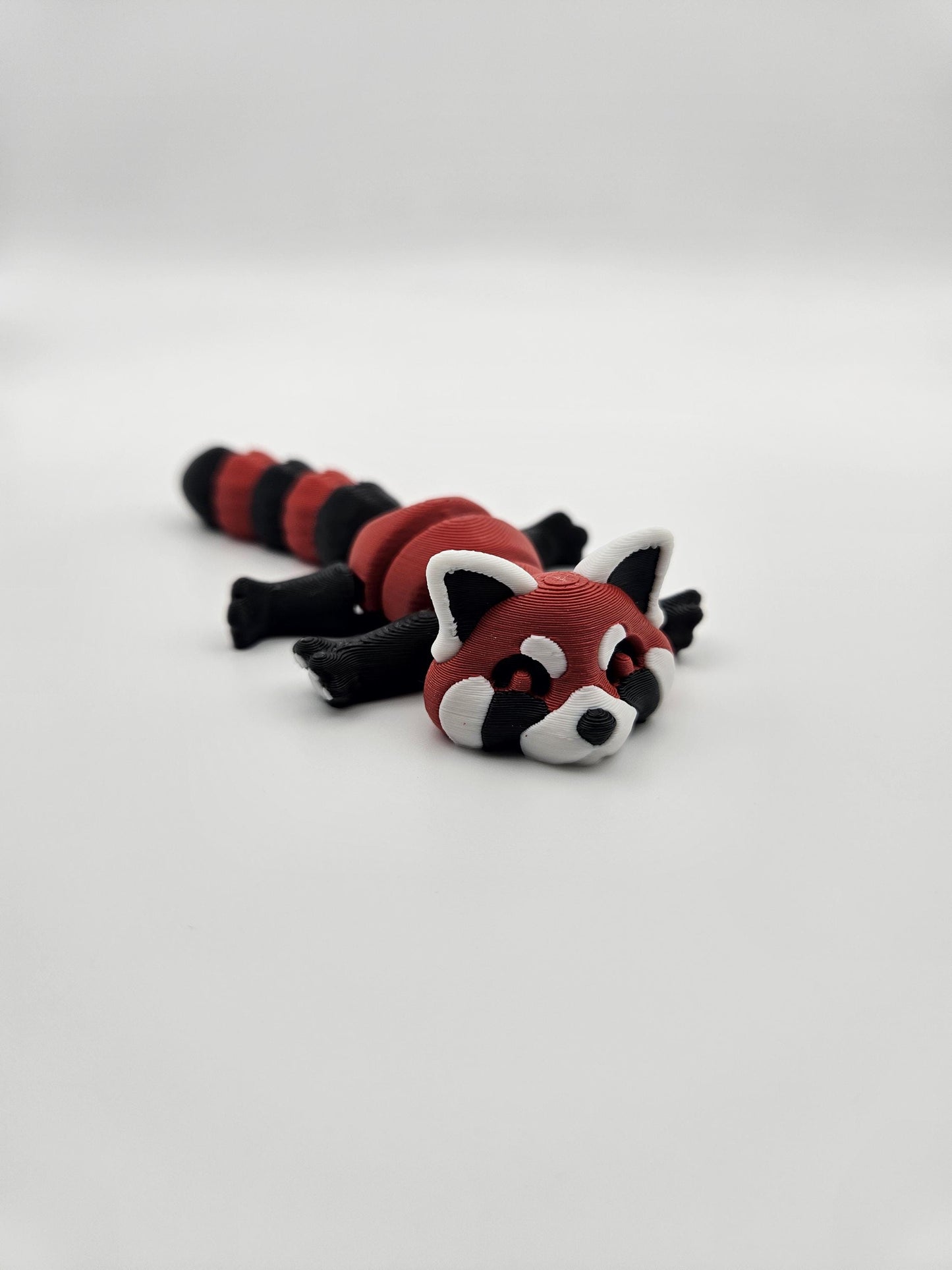 Trash Panda (Raccoon)