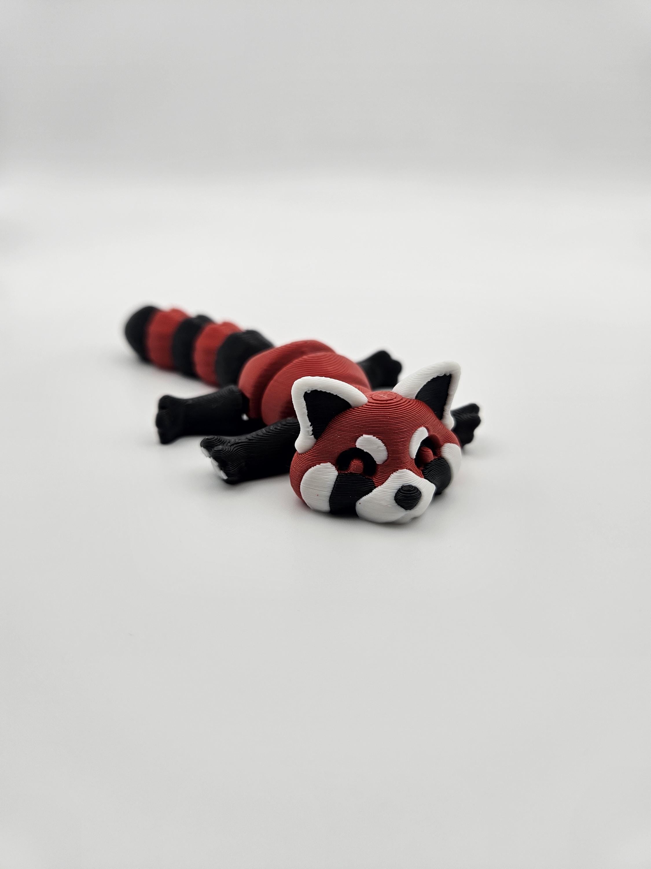 Trash Panda (Raccoon)