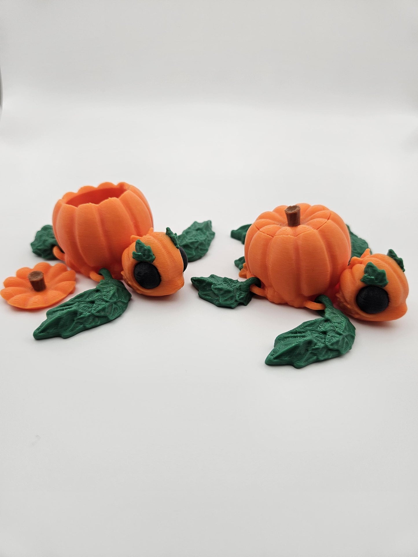 Pumpkin Turtle