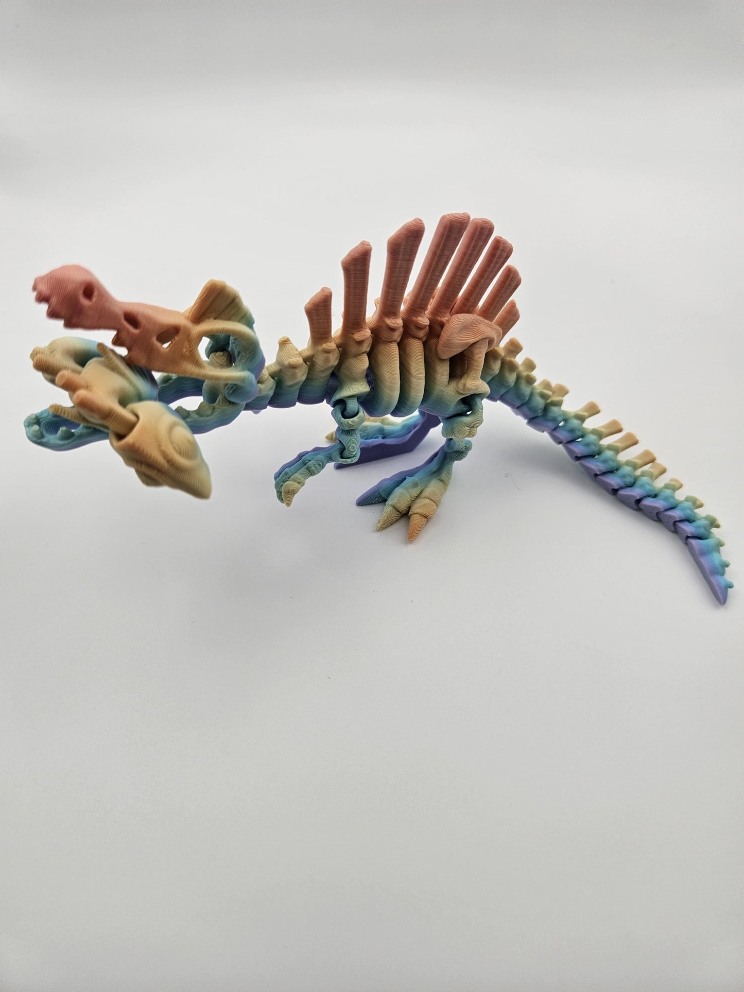 Rainbow Skeleton Spinosaurus