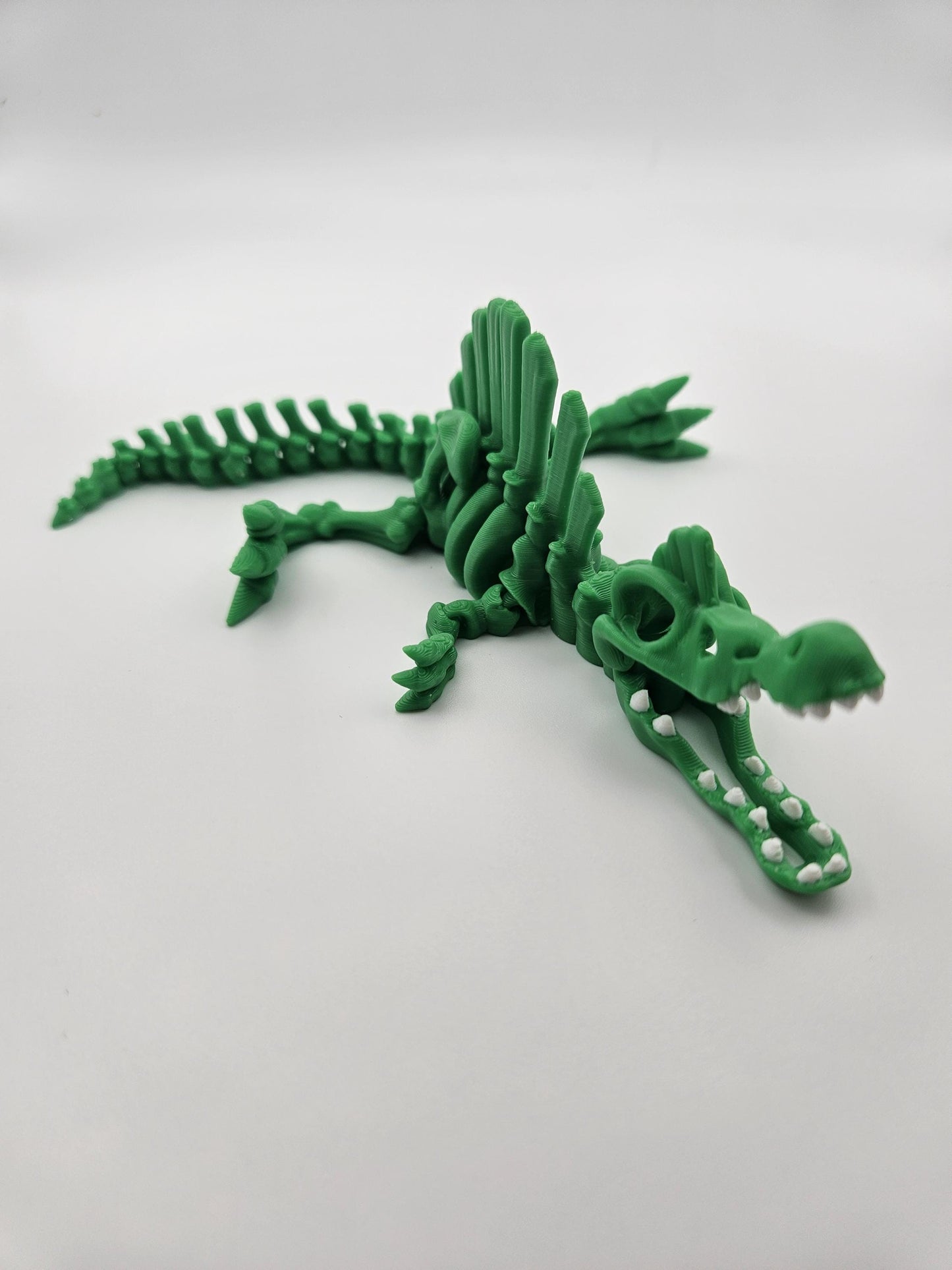 Skeleton Spinosaurus