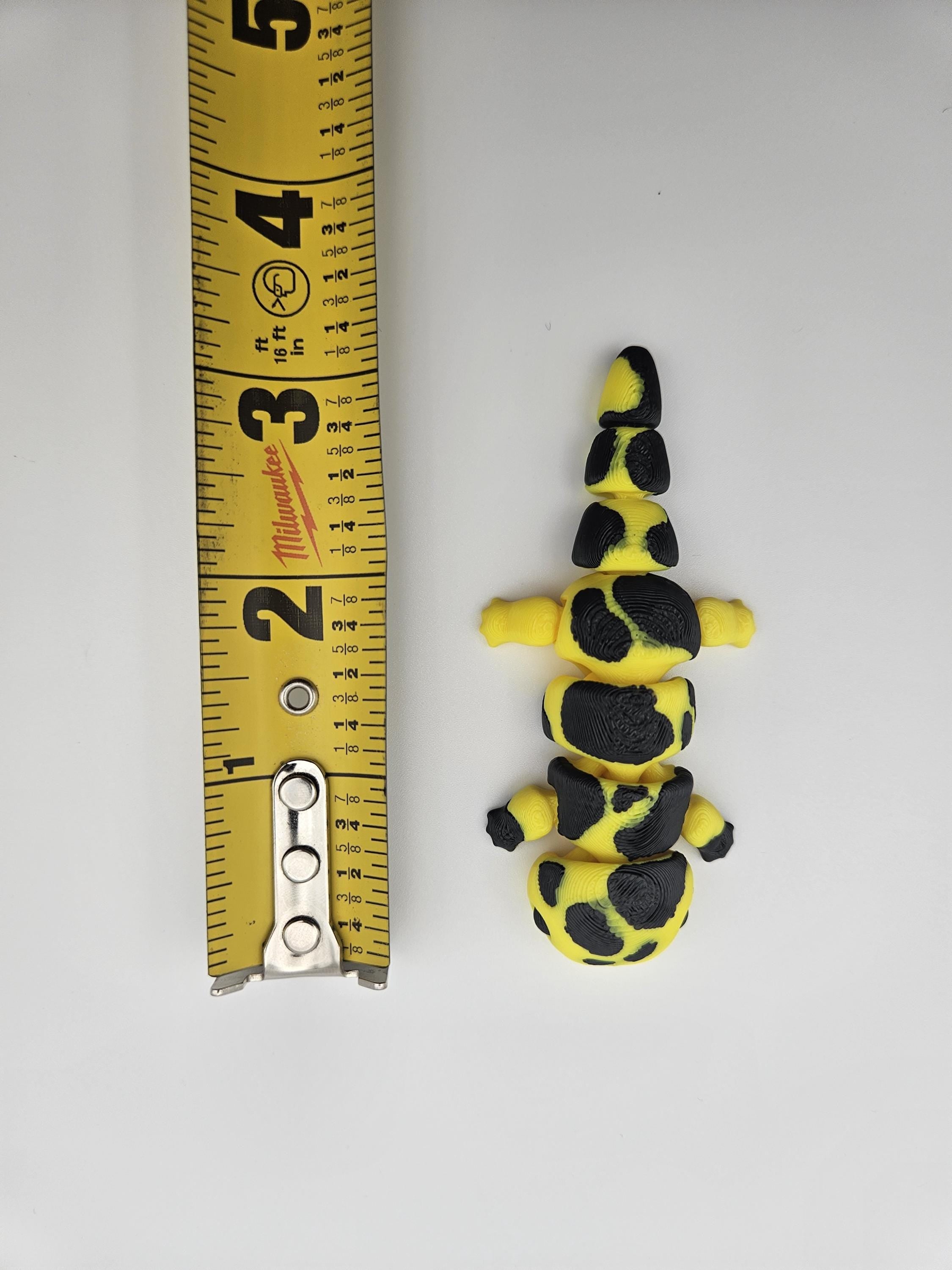 Tiger Salamander