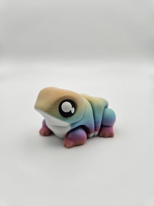 Rainbow Chonky Frog (Bull Frog)