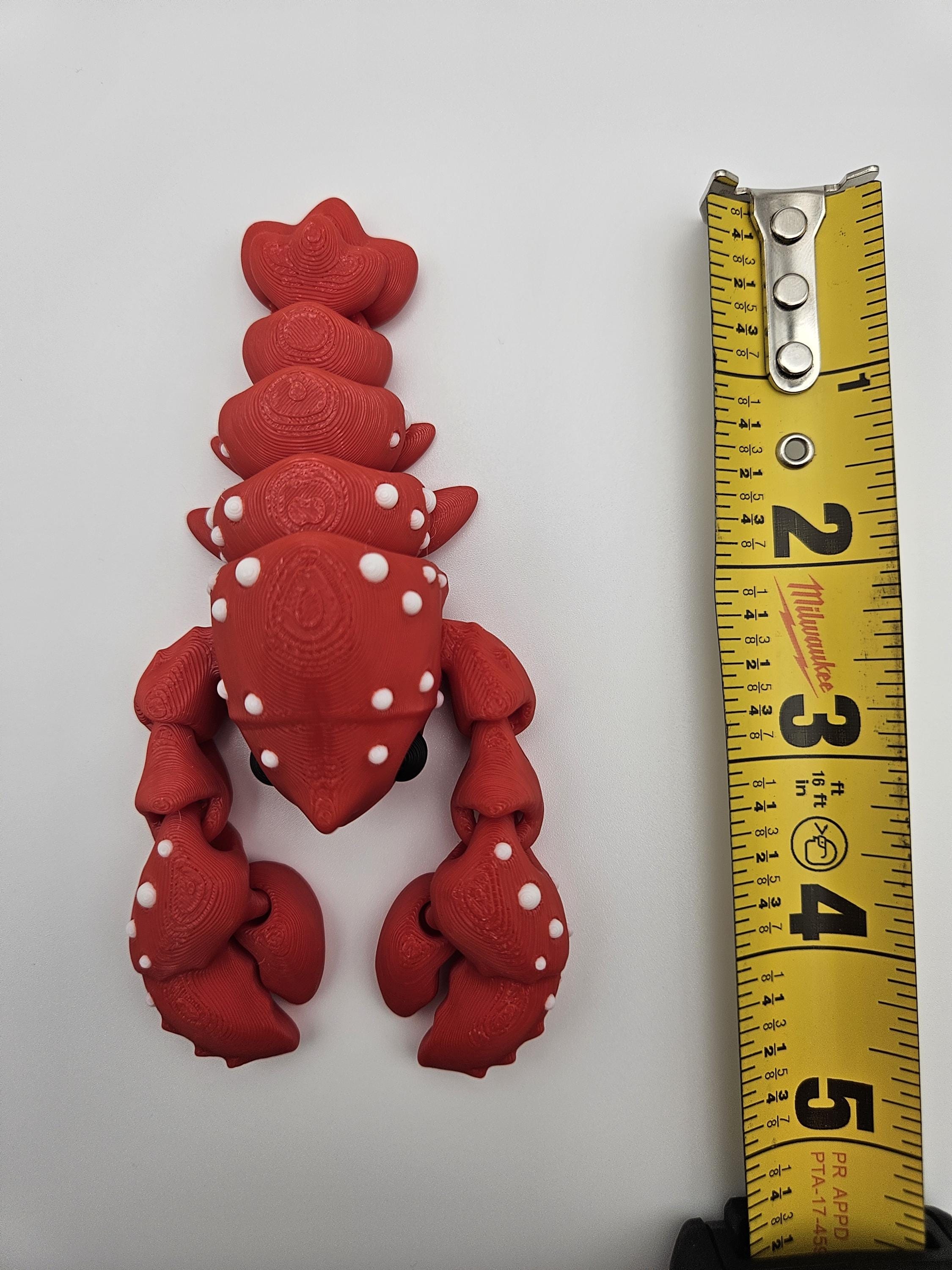 Lobster