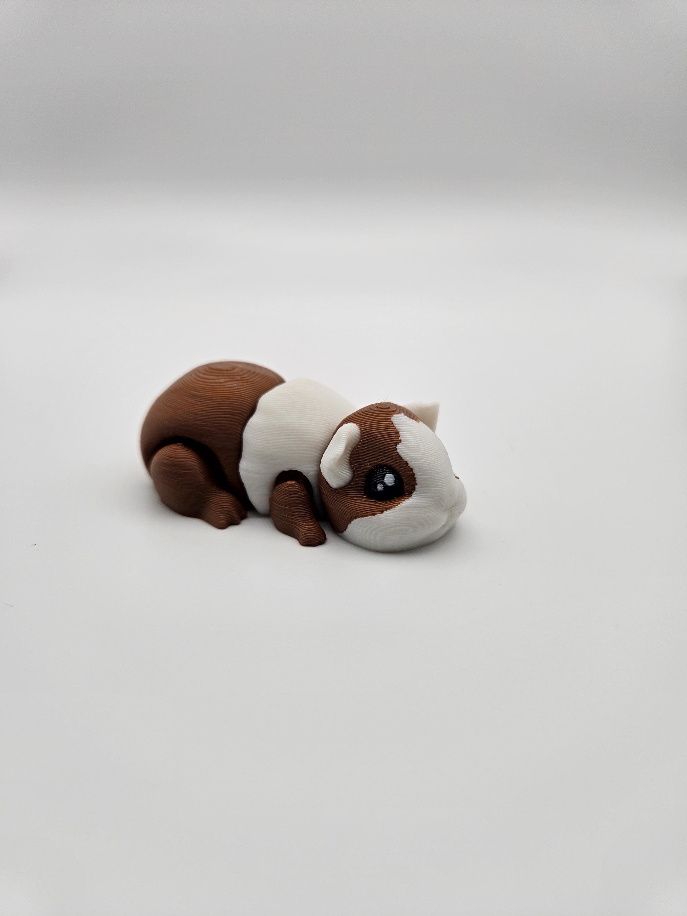 Guinea Pig (Hamster)