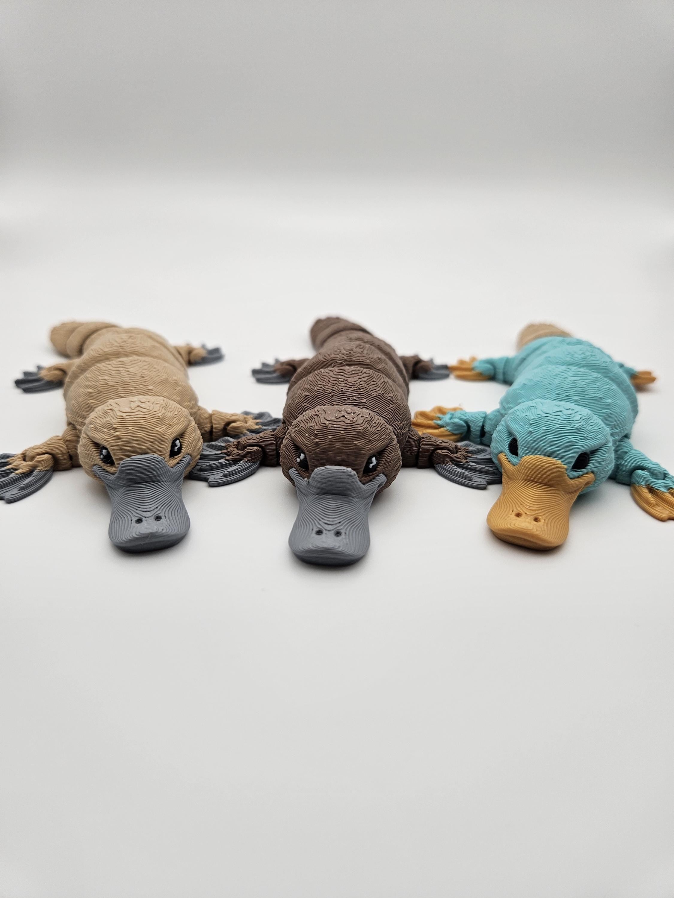 Platypus