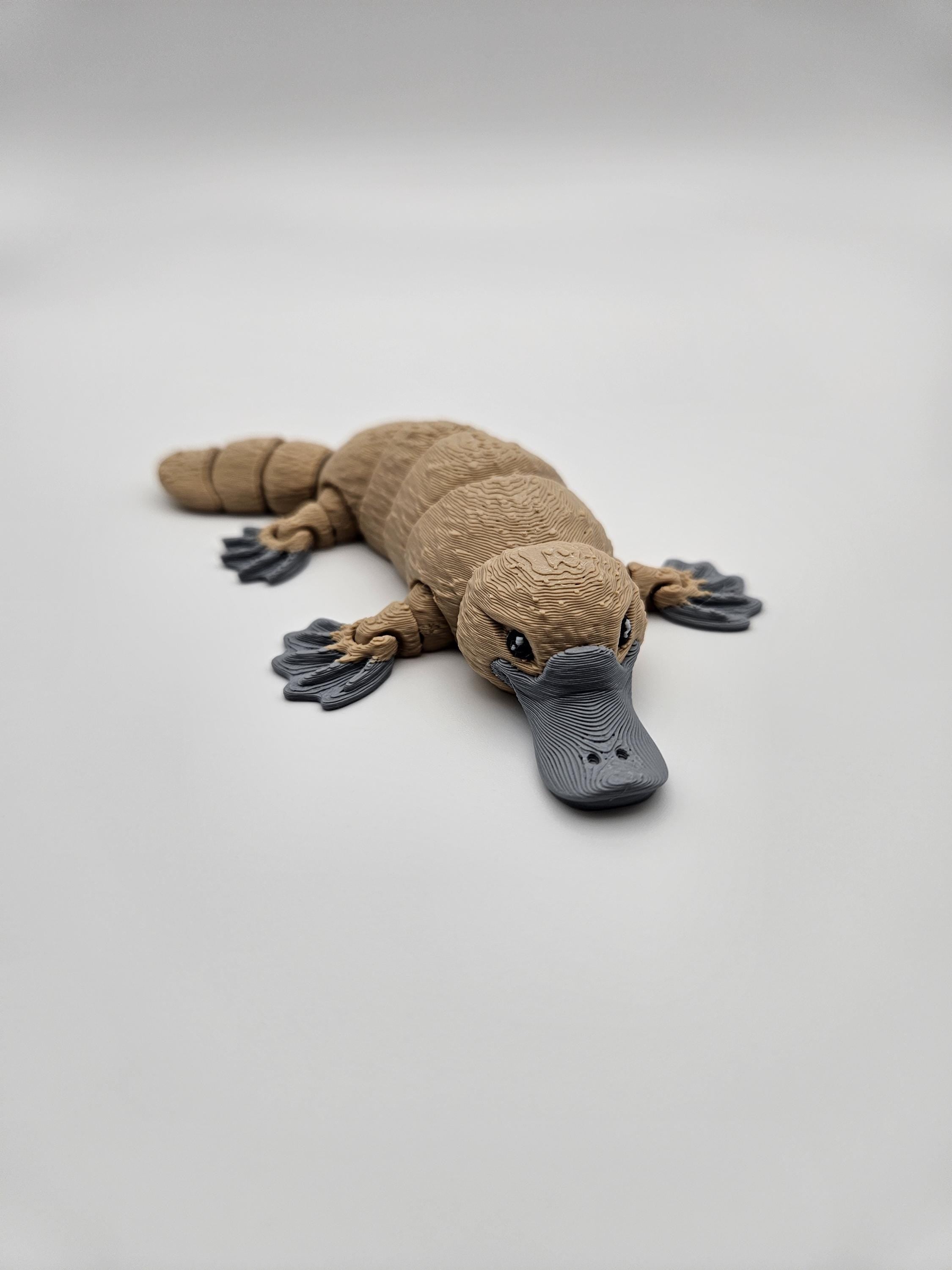 Platypus