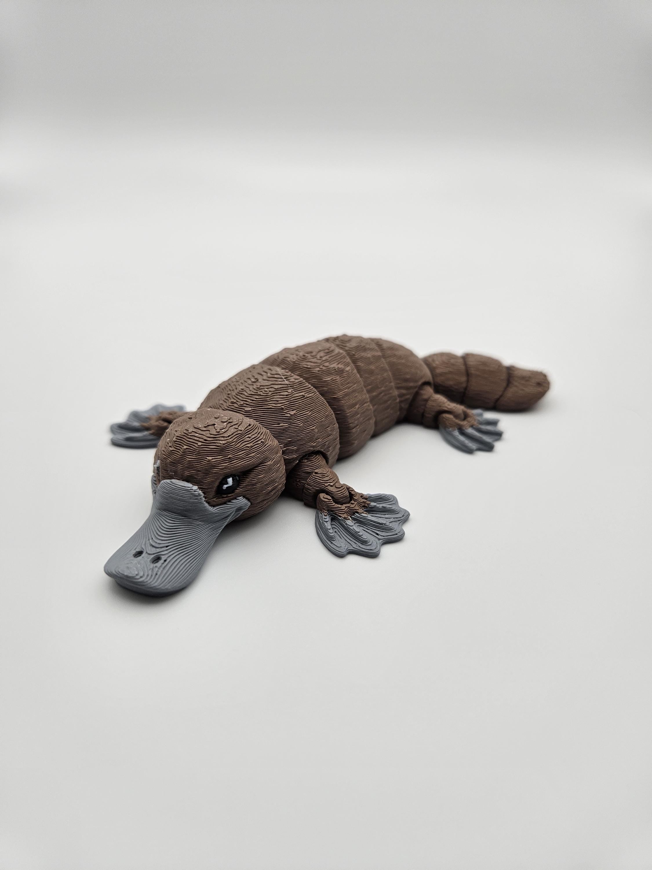 Platypus