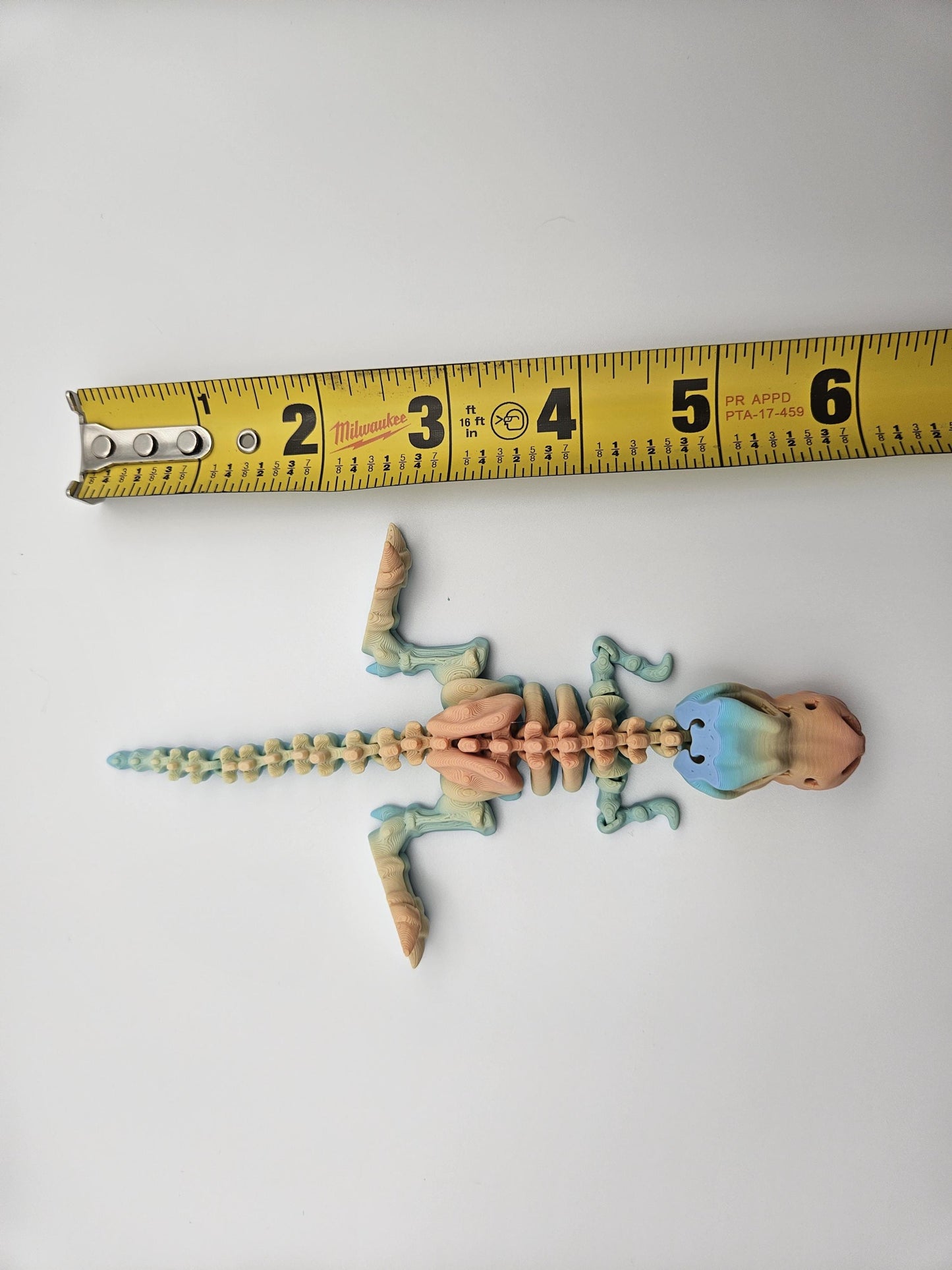 Rainbow Skeleton T-Rex Dinosaur