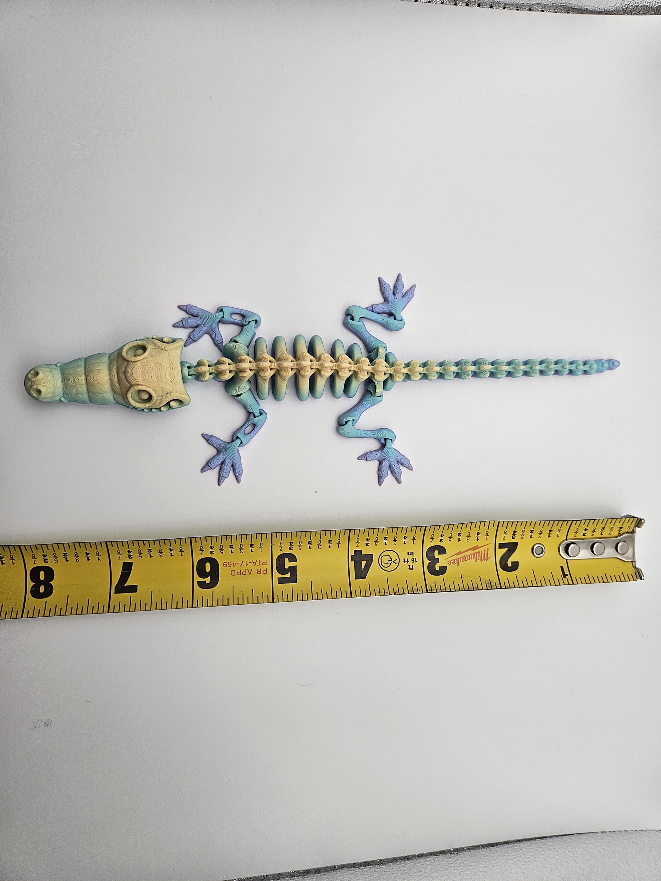 Rainbow Skeleton Crocodile