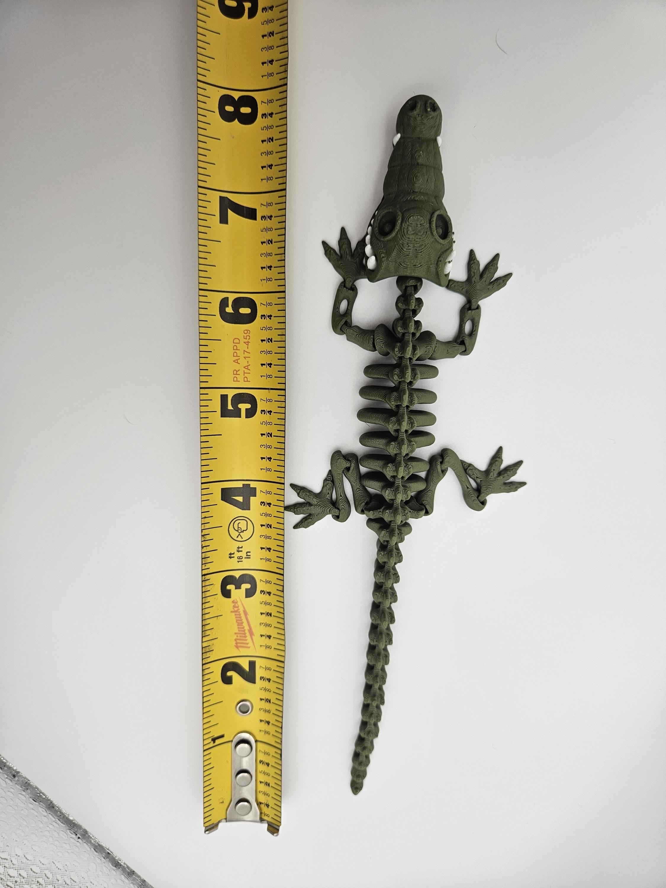 Skeleton Crocodile