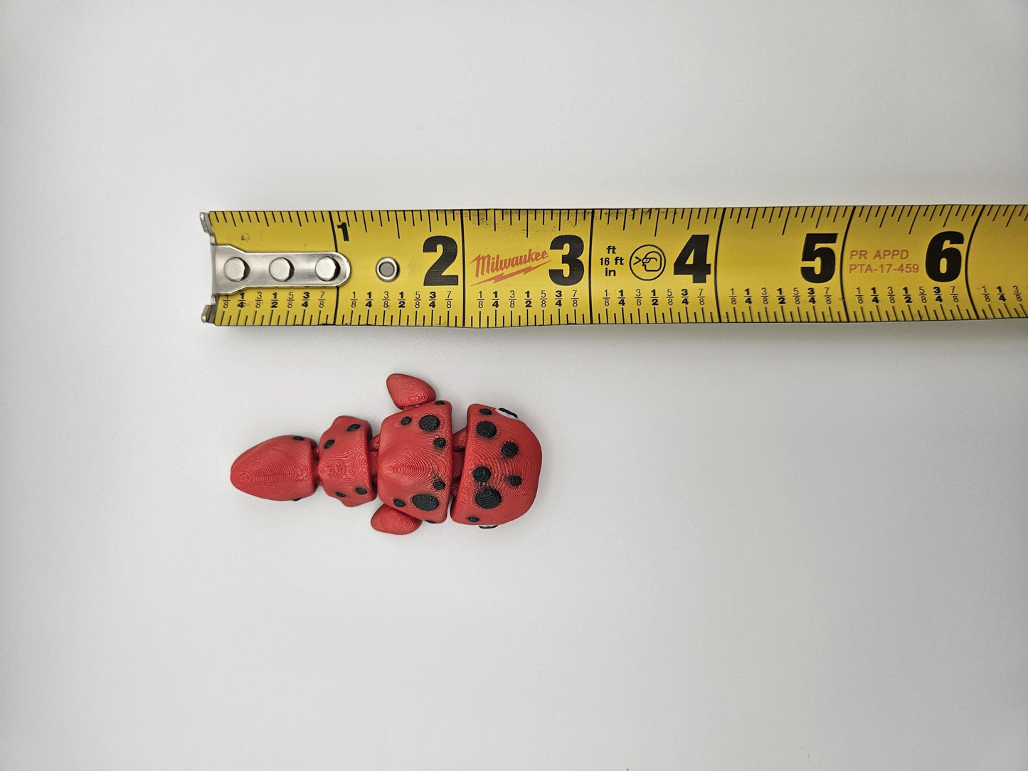 Watermelon Whale Shark