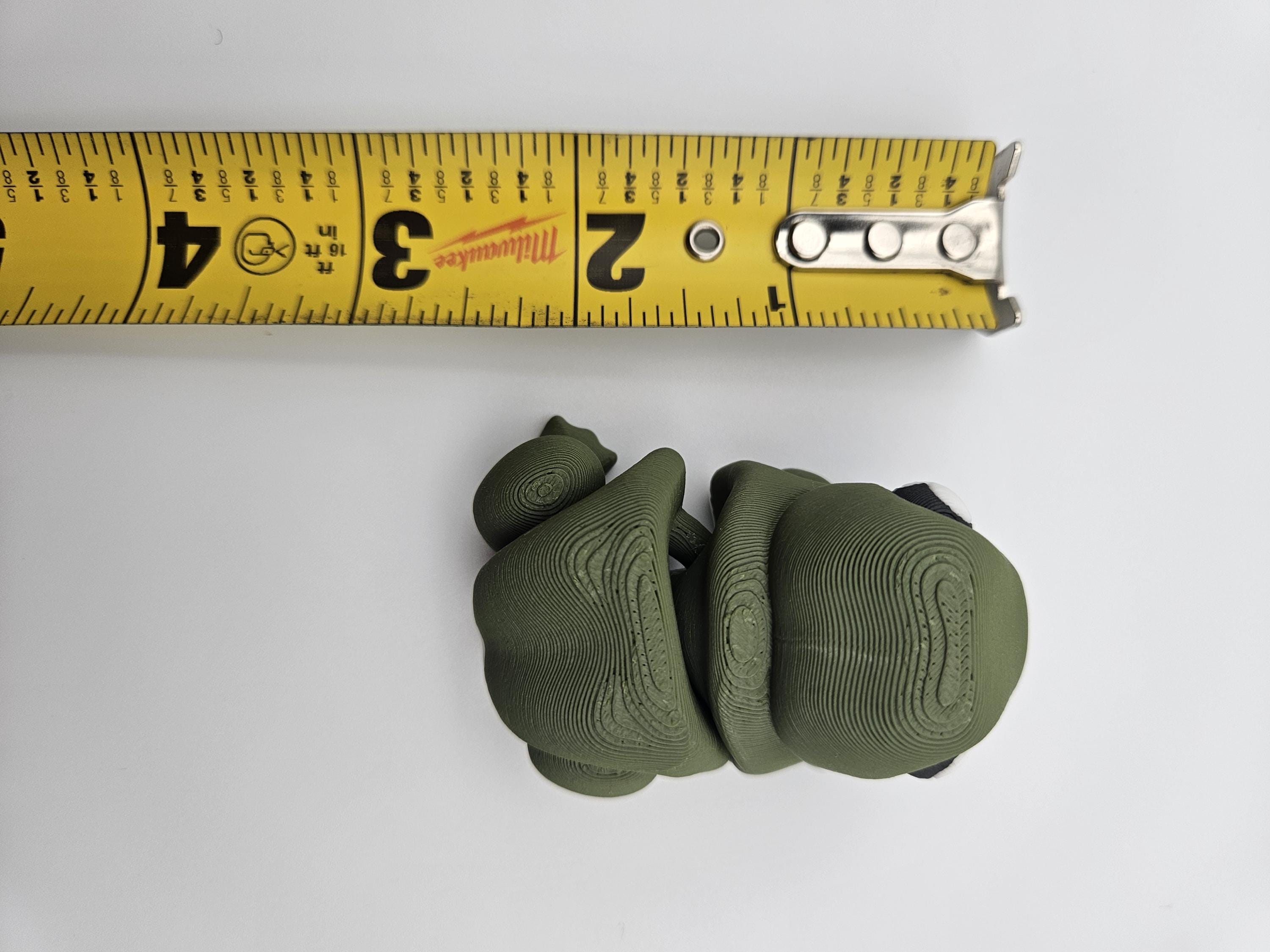 Chonky Frog (Bull Frog)