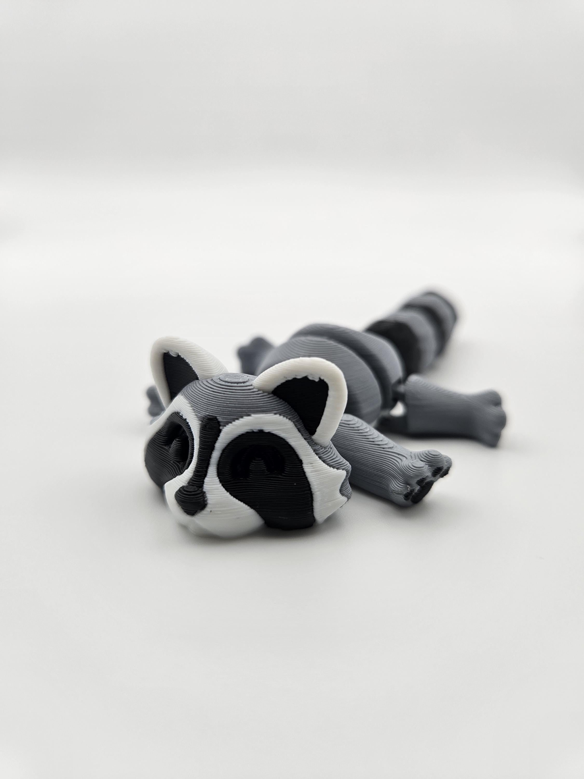 Trash Panda (Raccoon)