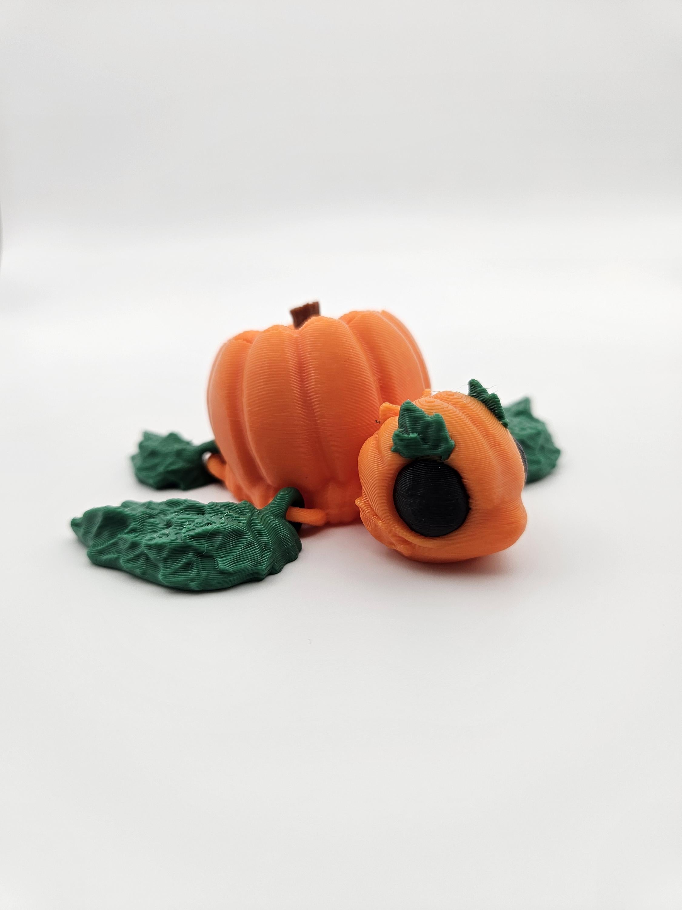 Pumpkin Turtle