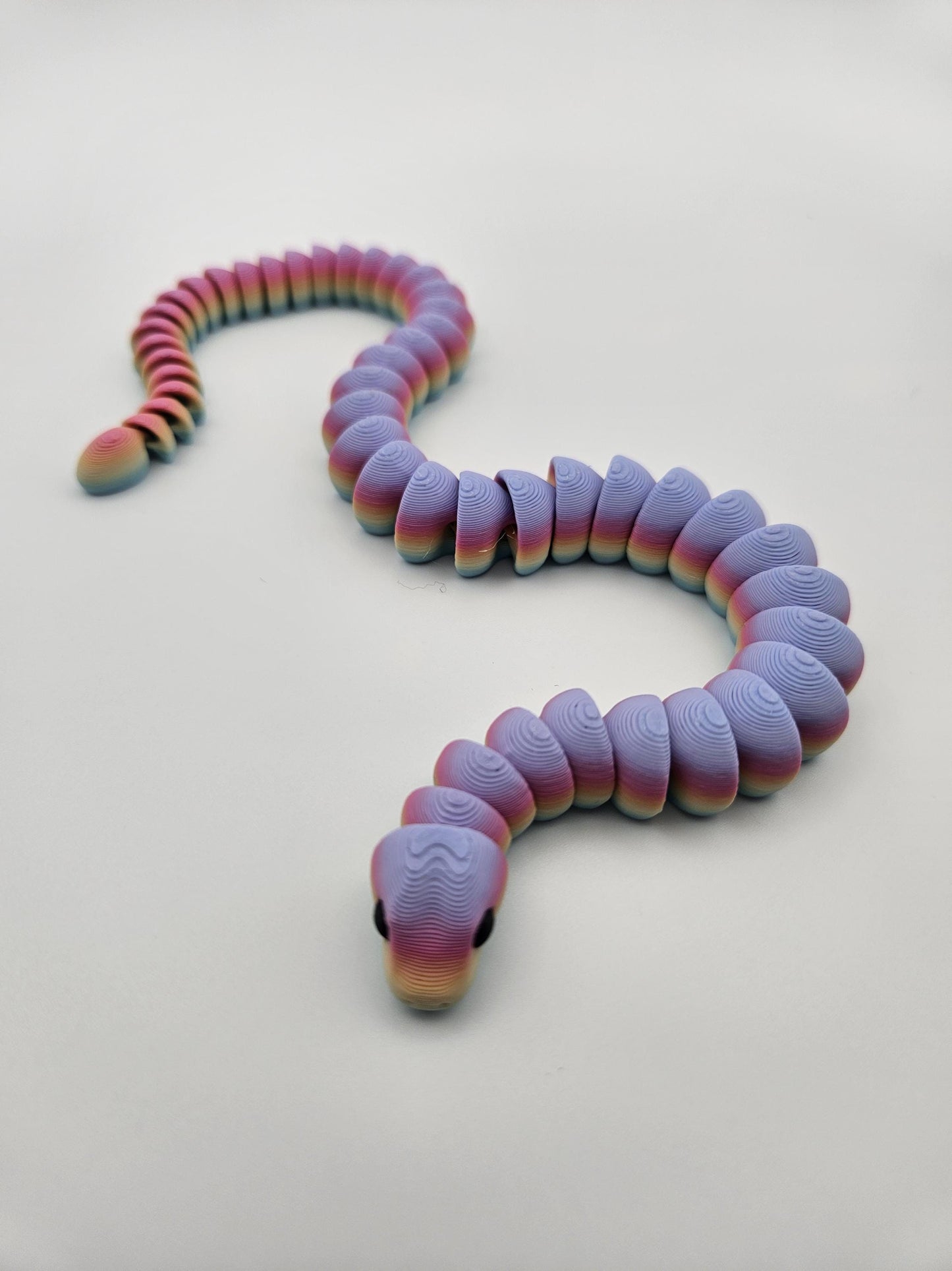 Rainbow Snake
