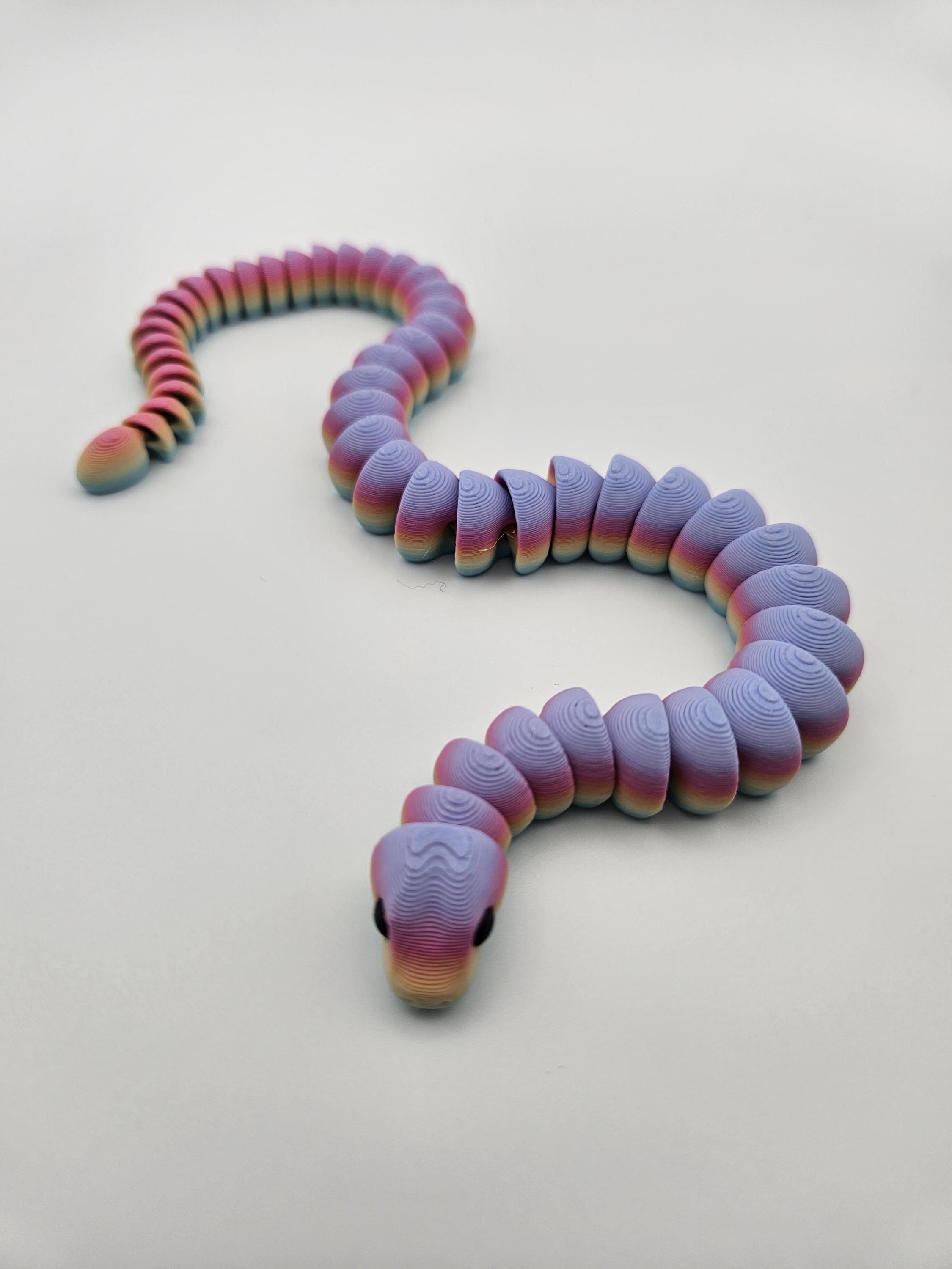 Rainbow Snake