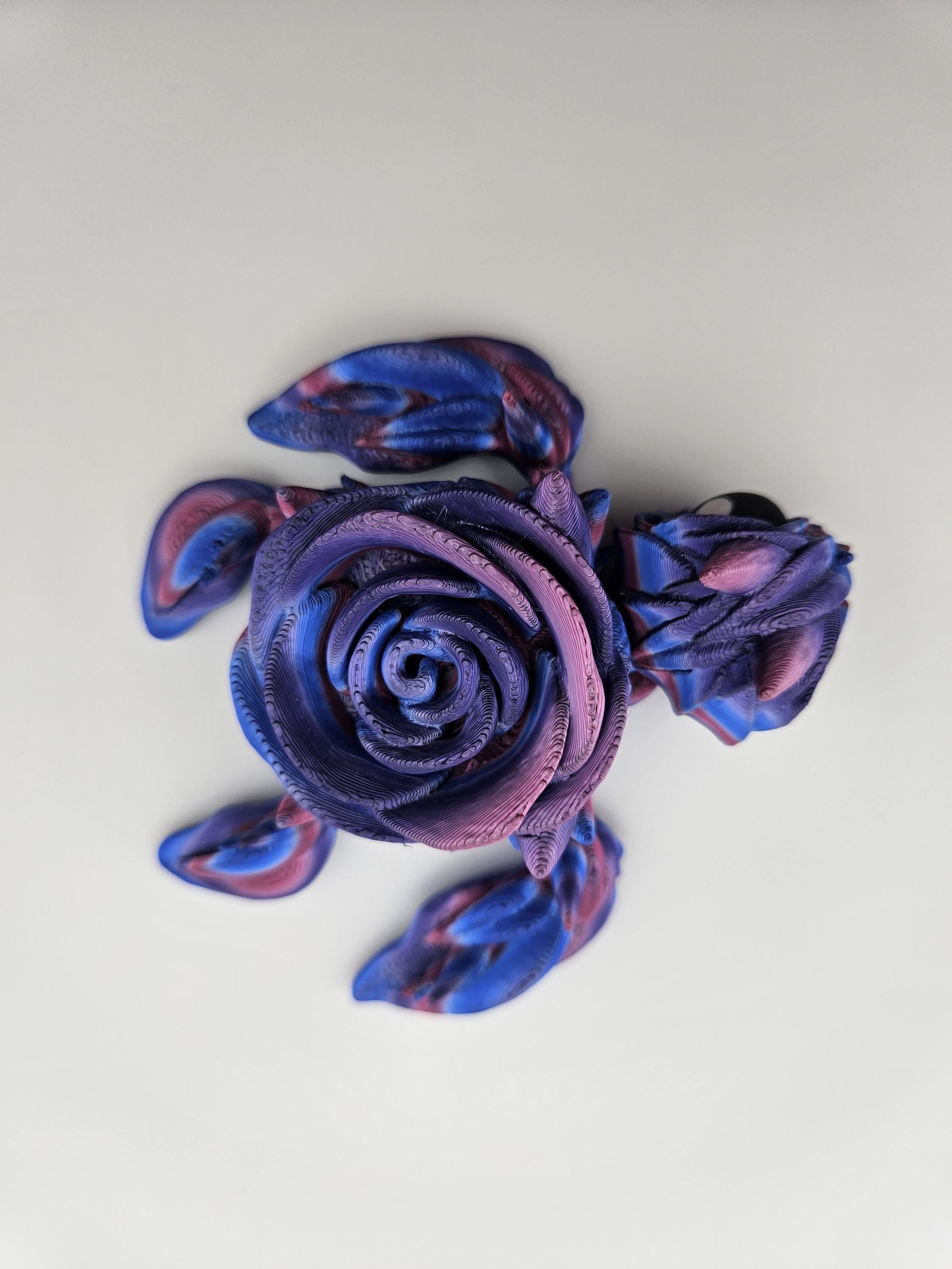 Striped Rose Turtle