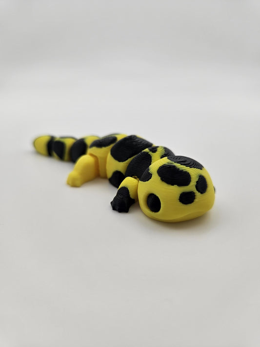 Tiger Salamander